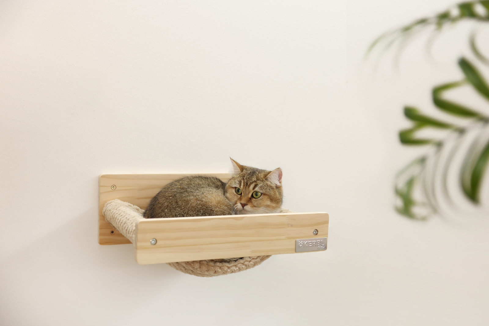 Kerbl Pet Timber Amaca Gatto da Parete Legno Peluche