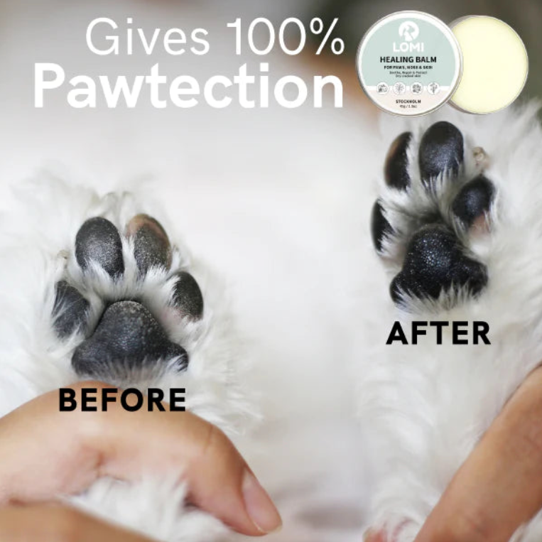 Dog with a Mission Healing Balm balsamo zampe cani gatti