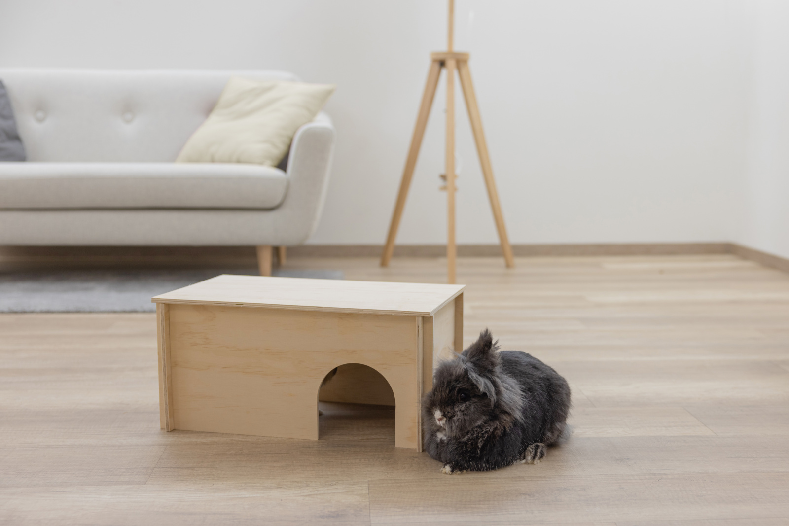 Kerbl Pet Rodent Cabin Natural casetta roditori legno
