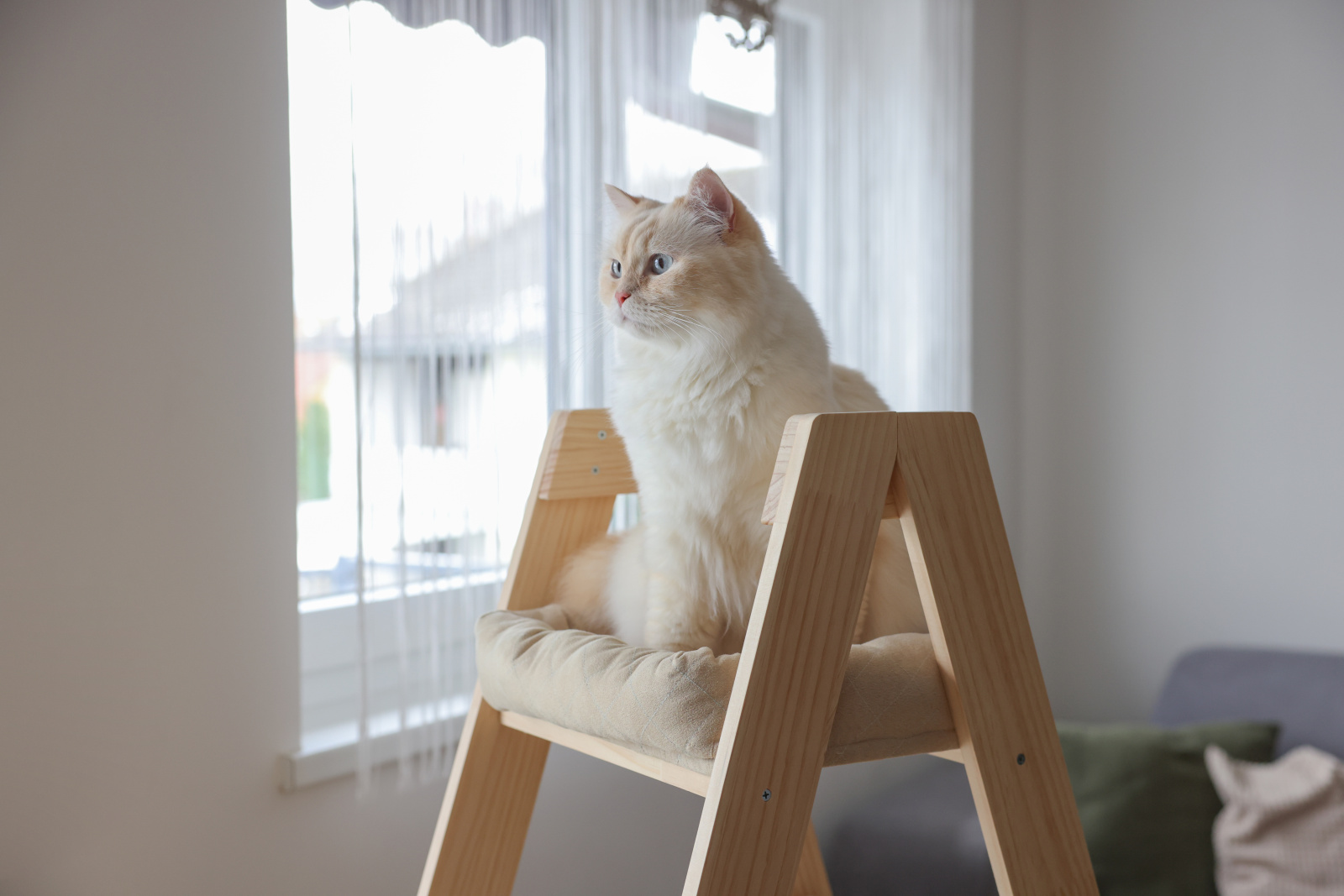 Kerbl Cat Ladder tiragraffi scala sisal 3 posti