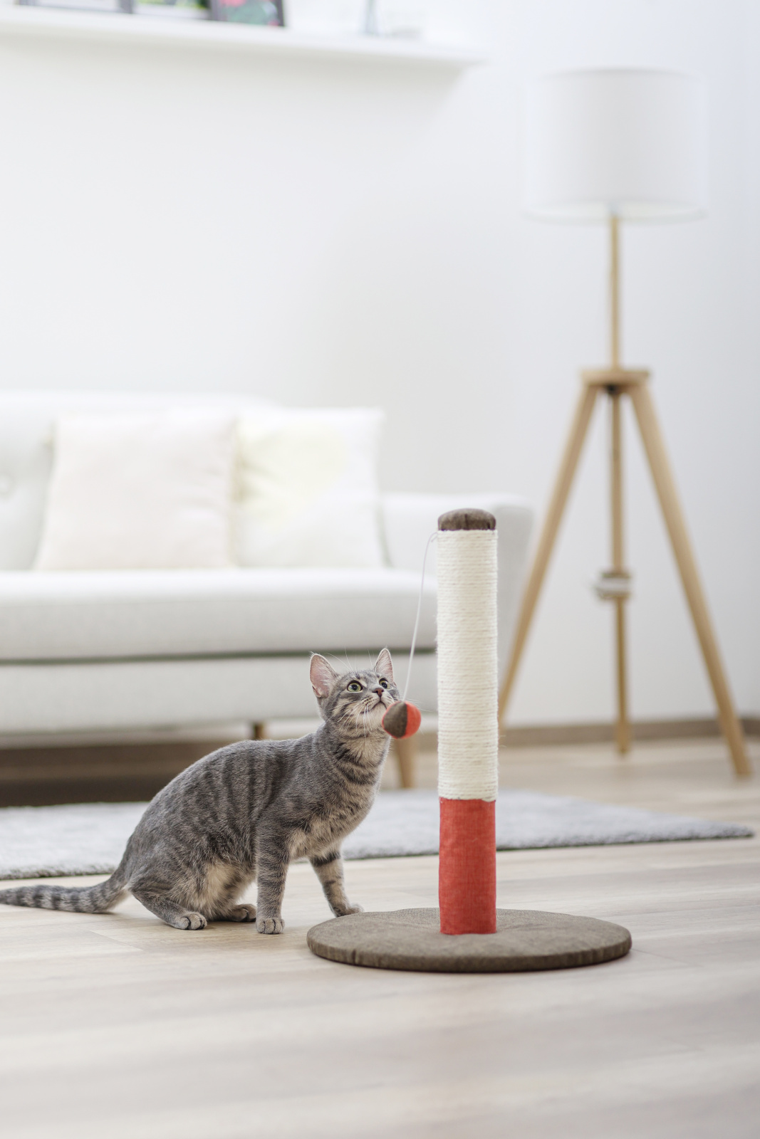 Kerbl Pet Opal Basic tiragraffi gatto sisal base 37 cm con pallina