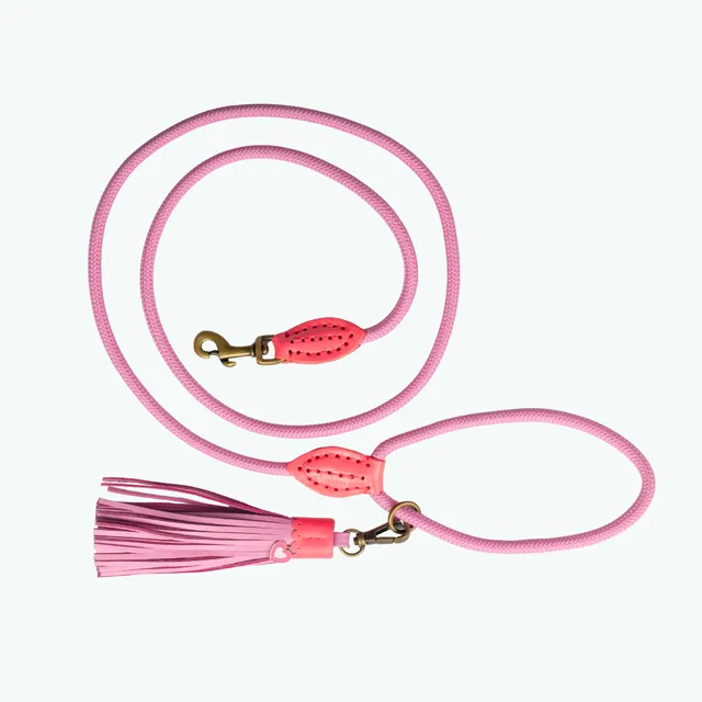 Dog with a Mission Classic Sweety S guinzaglio cane rosa