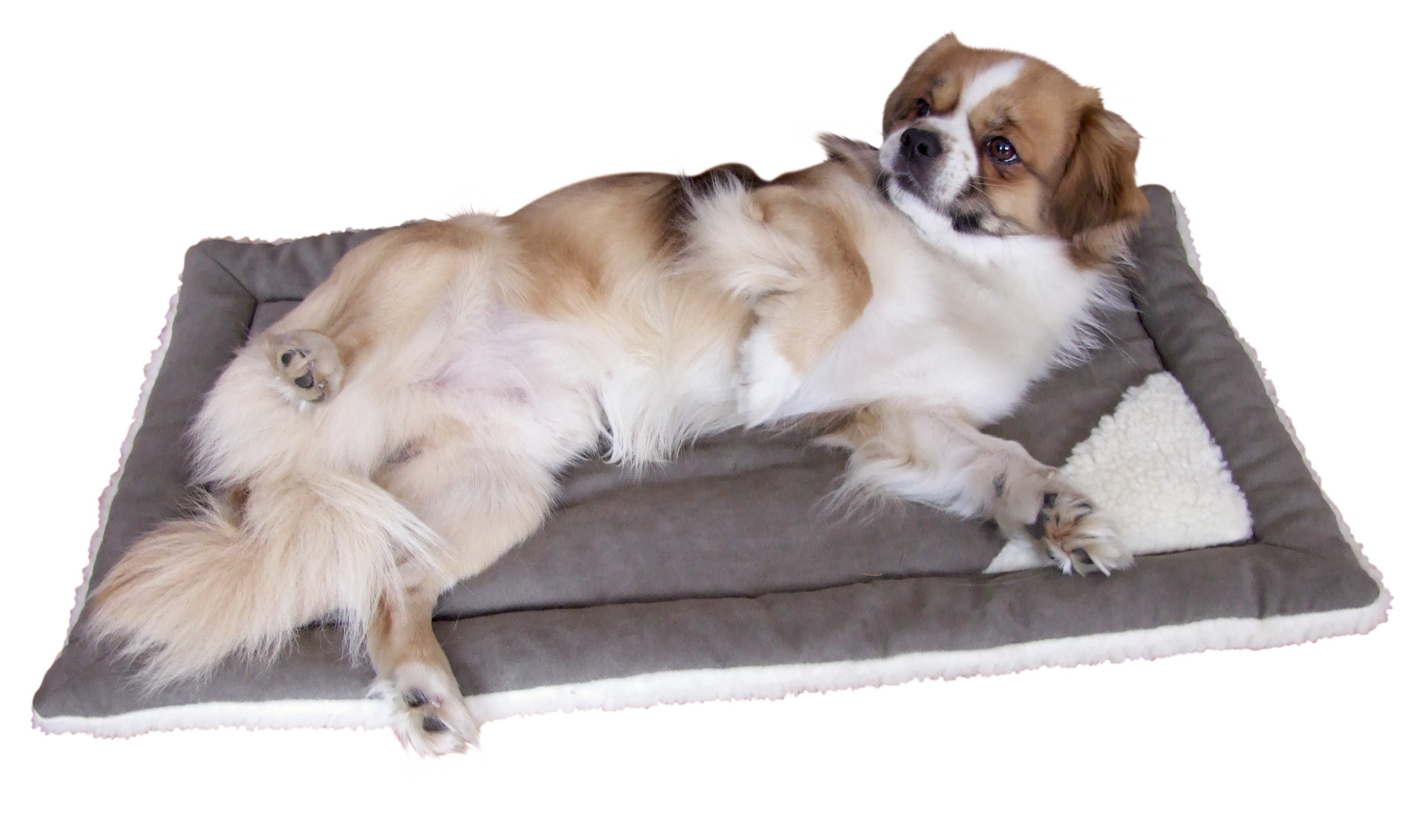 Kerbl Pet Cleo cuscino cane double-face lavabile