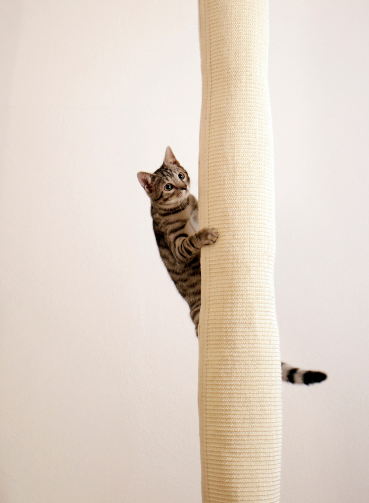 Kerbl Pet Climbing Bag Climber Sacco arrampicata gatti sisal