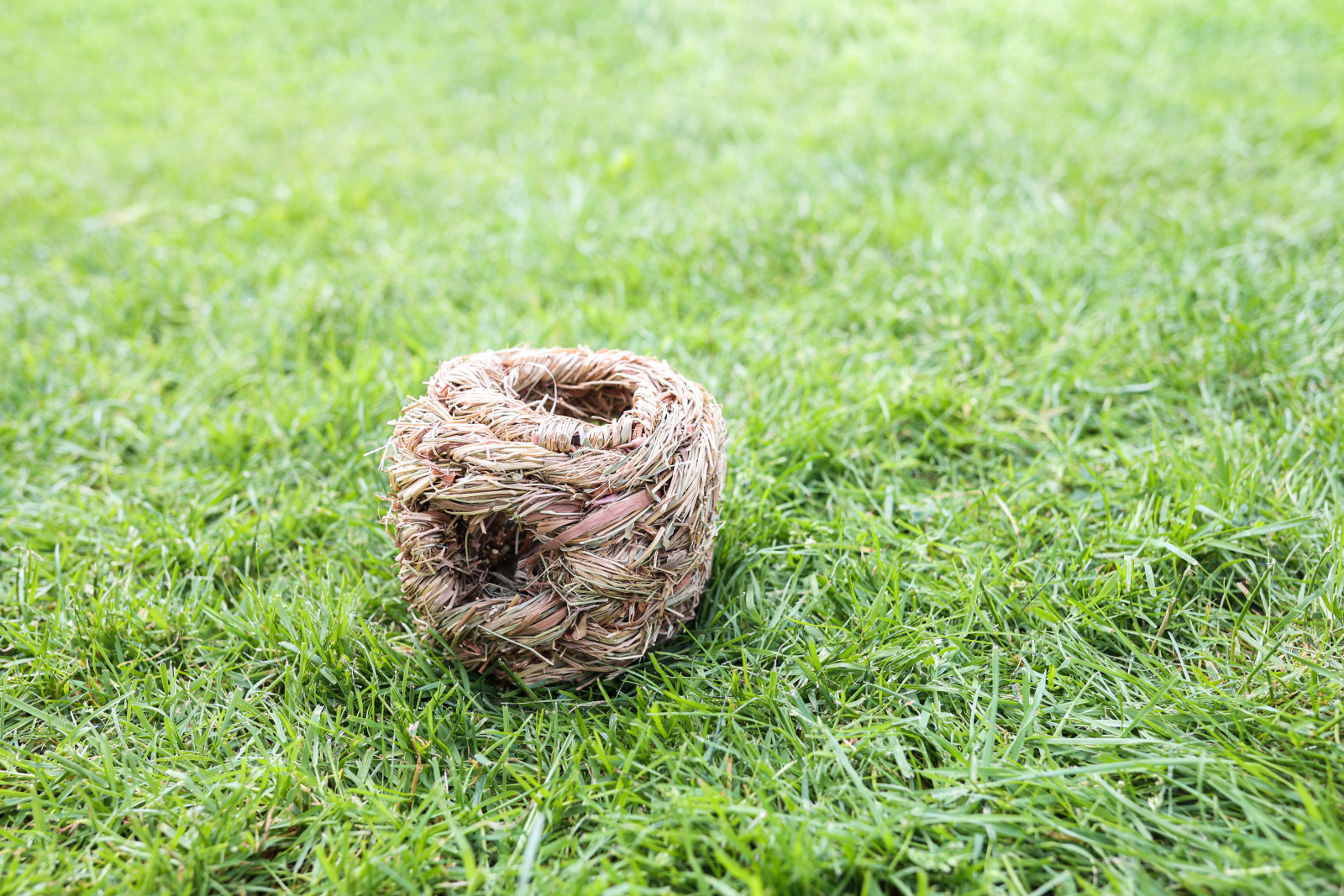 Kerbl Rodent Grass Nest Nido Erba Naturale Criceti Rosicchiabile