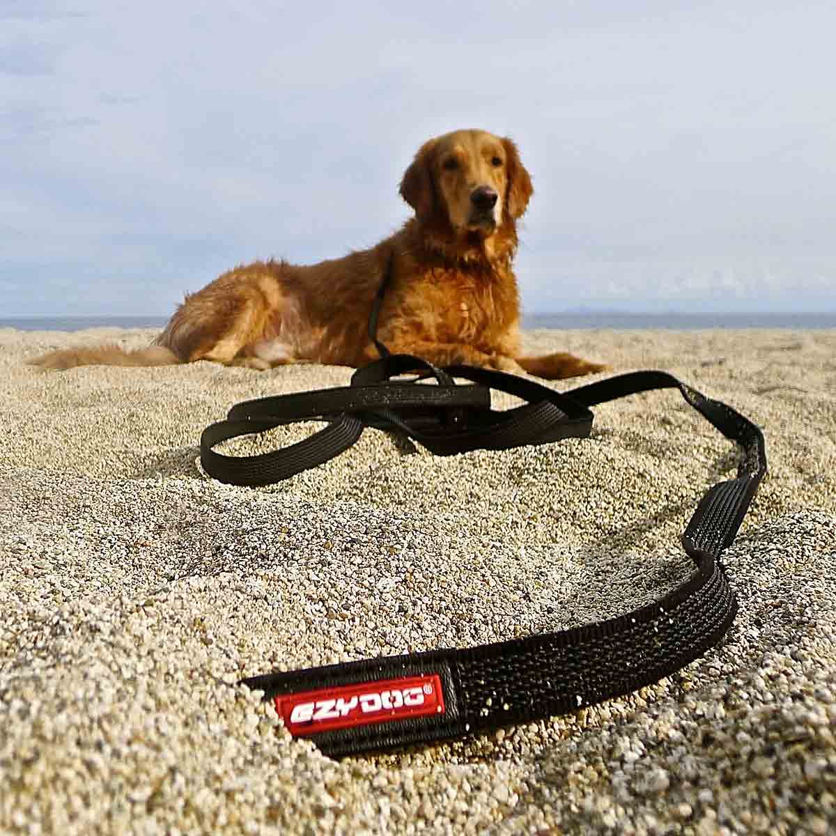 EzyDog Track n Train guinzaglio cane 5 m nero grip