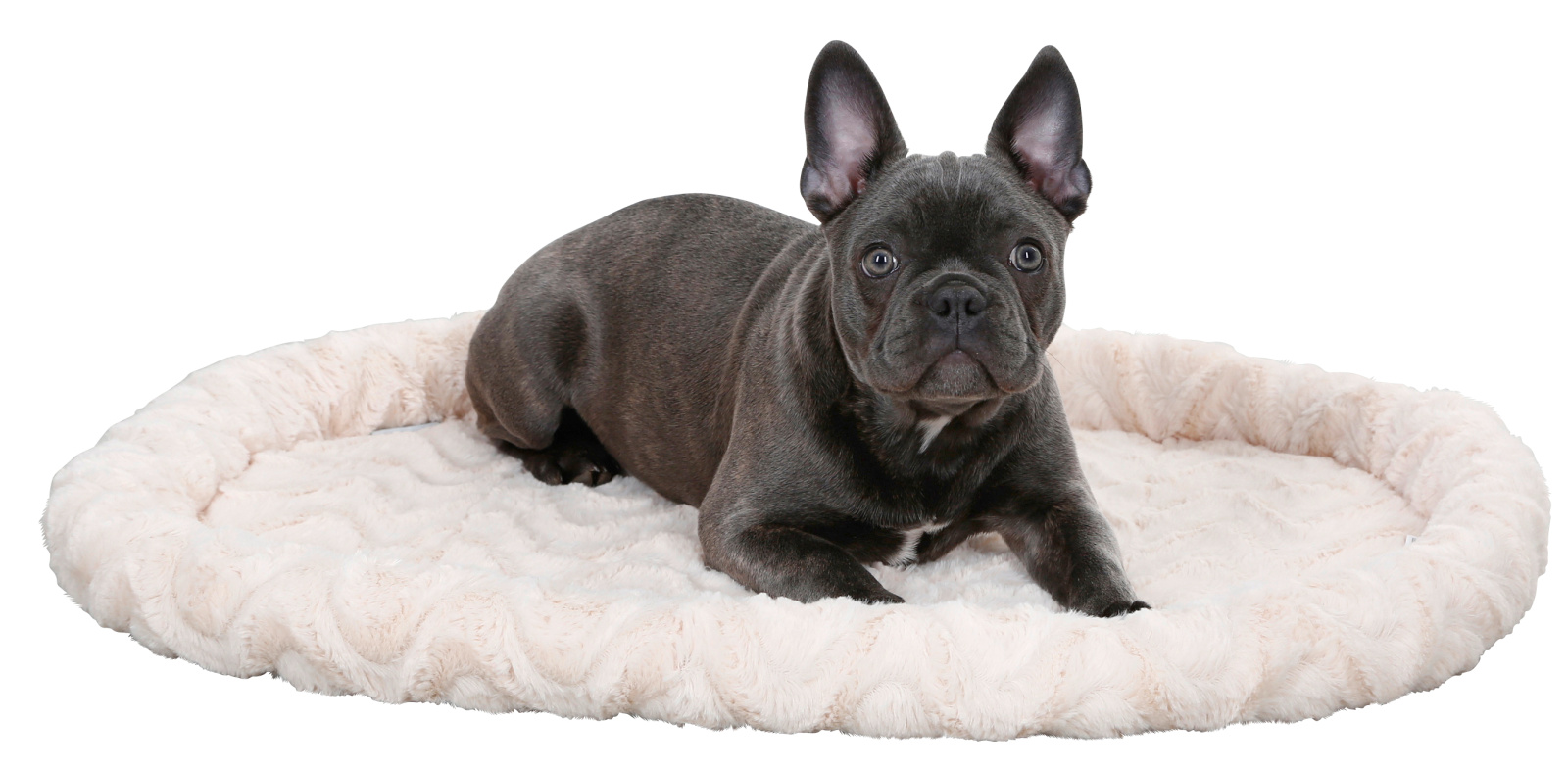 Kerbl Snugly Bed cuccia cane reversibile lavabile 30°C