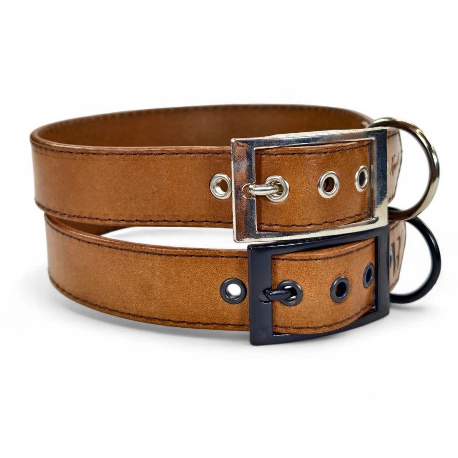 Toscani Cuoio PRO collare cuoio cani taglia grande 3 cm