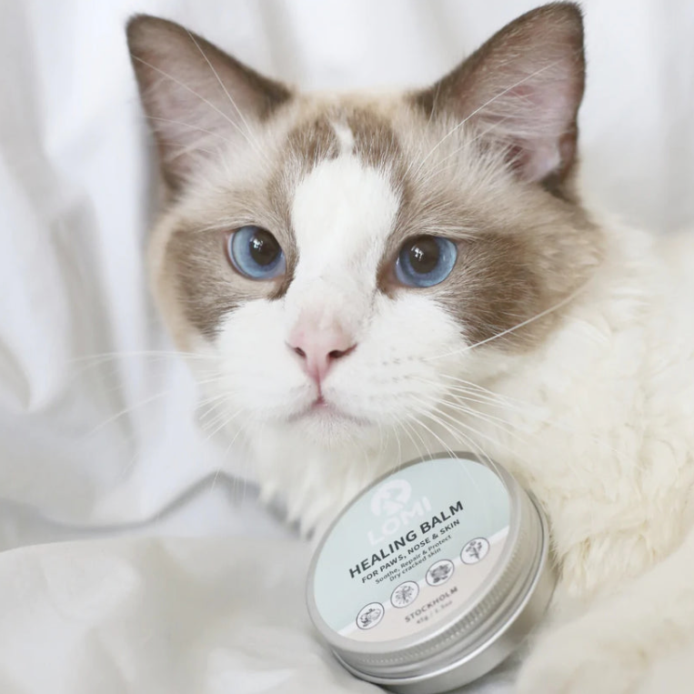 Dog with a Mission Healing Balm balsamo zampe cani gatti