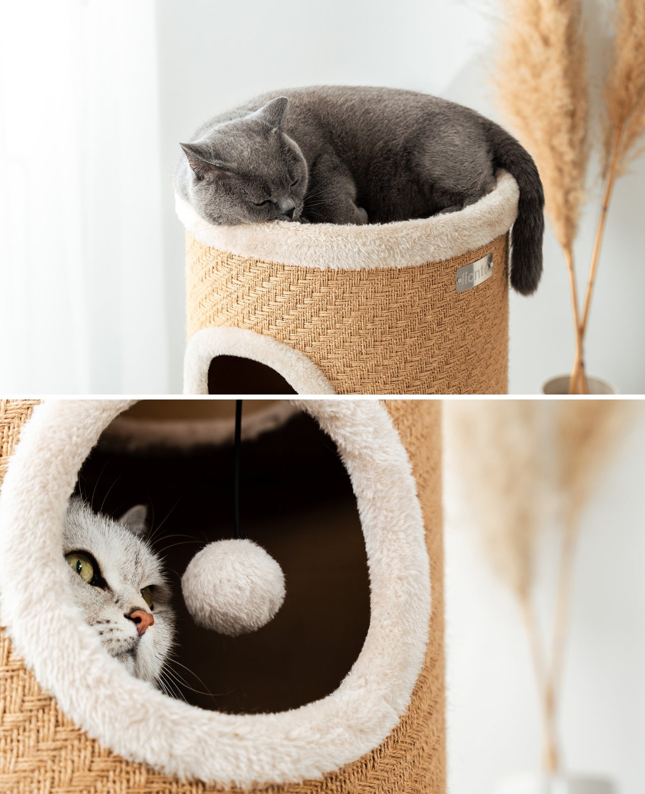 Lionto Kratztonne tiragraffi torre juta 50 cm per gatti