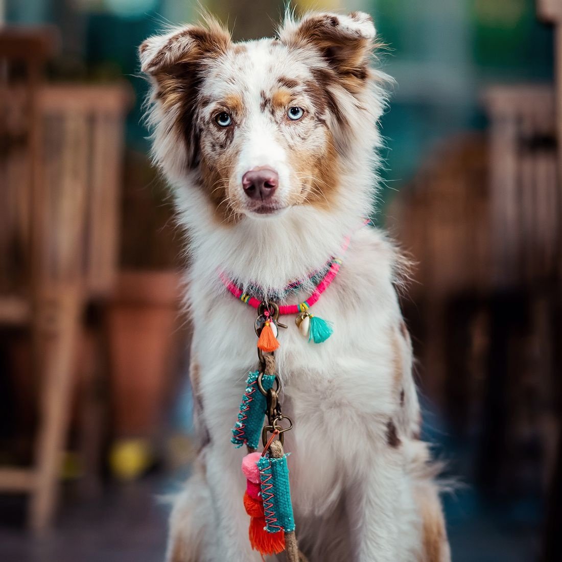 Dog with a Mission Bondi Beach collana cane XL rosa fino 60 cm