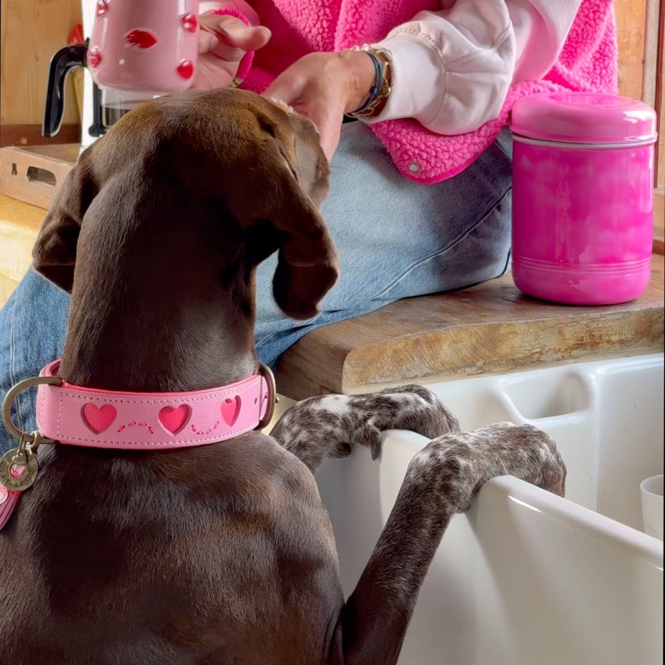 Dog with a Mission Classic Sweety guinzaglio cane rosa L 155 cm