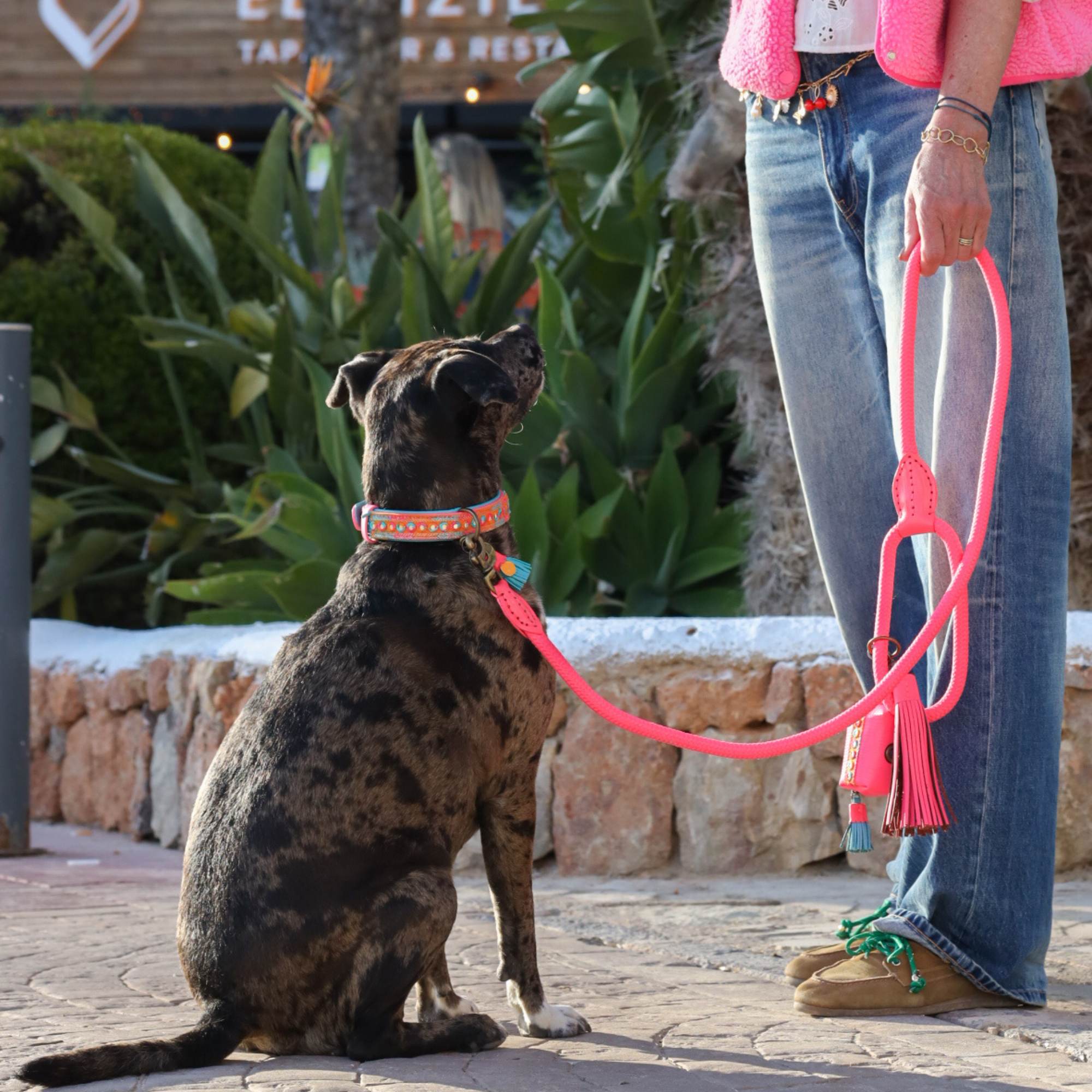 Dog with a Mission Indian Summer porta sacchetti cane rosa