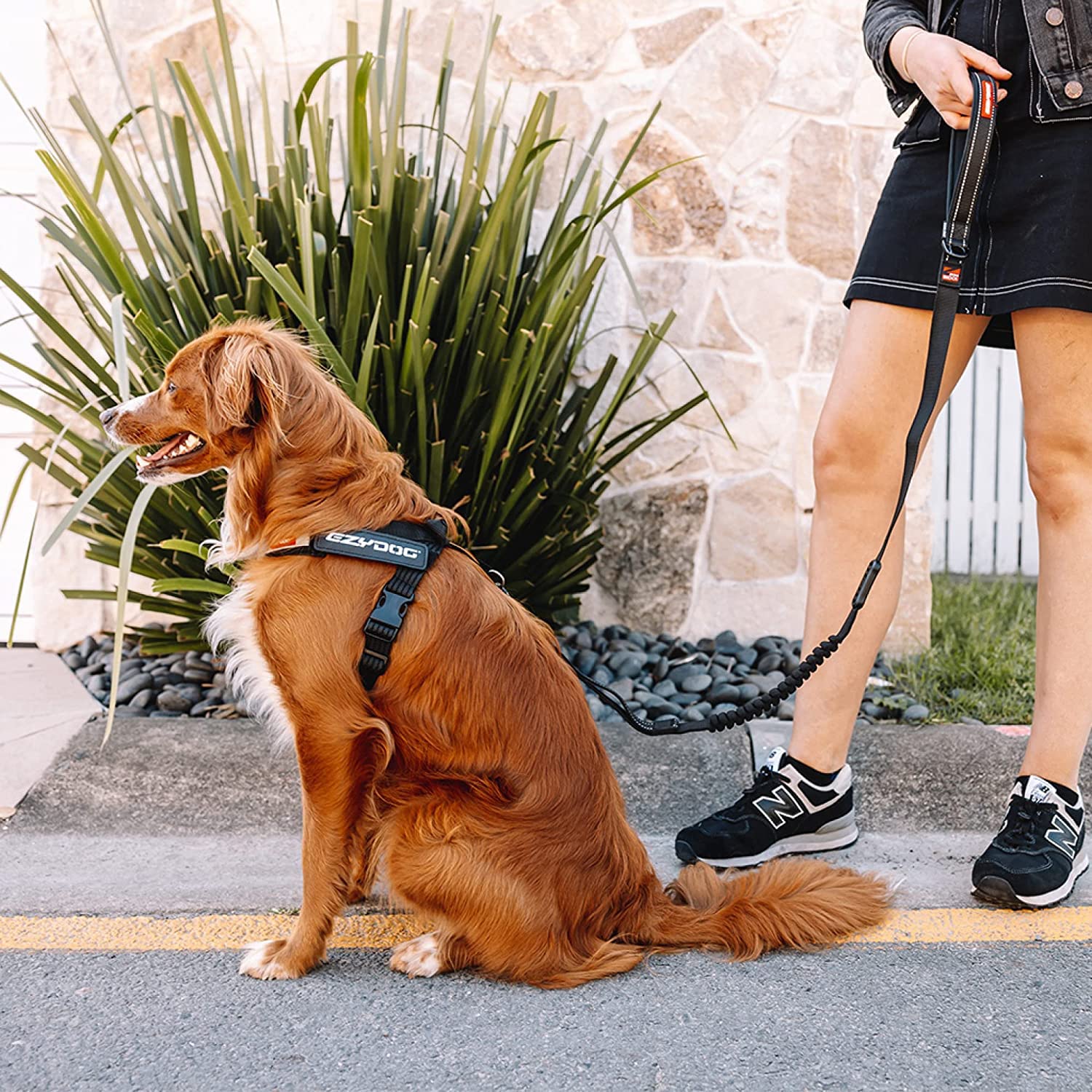 EzyDog Express pettorina per cani S rosso ergonomica