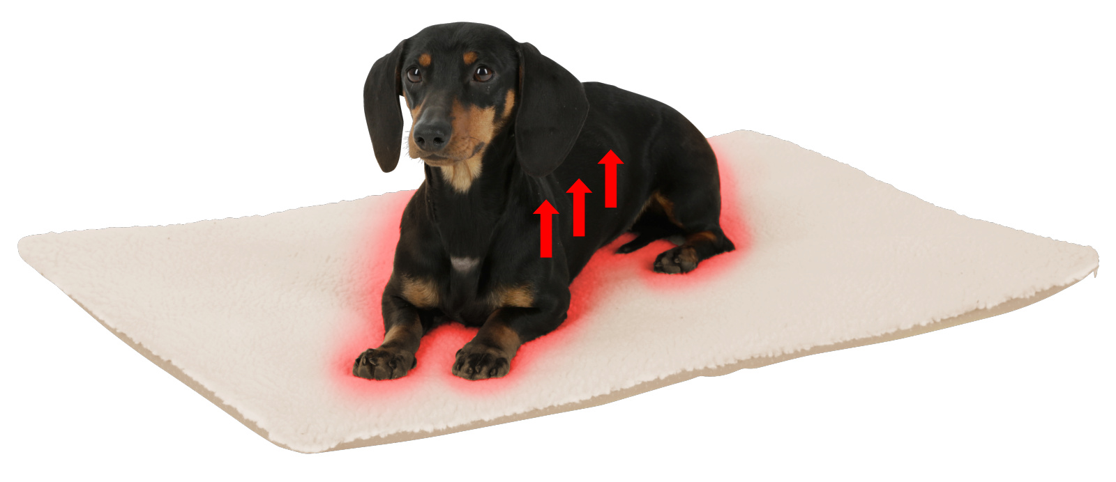 Kerbl Theo Cuscino Cane Termico autoriscaldante antiscivolo