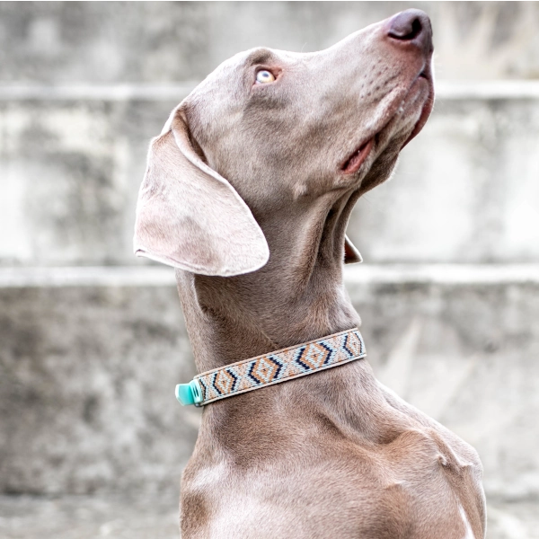 Toscani Edizioni speciali collare cane Indy geometrico