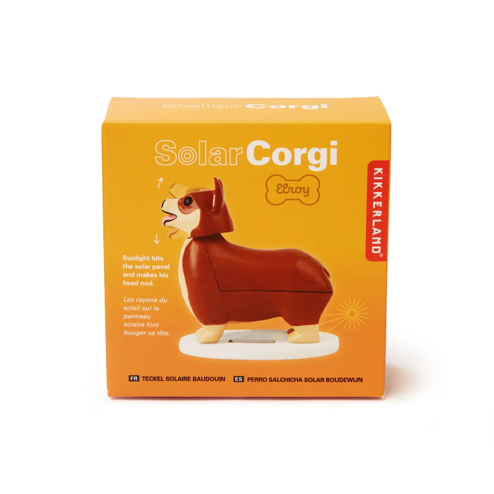 Dog with a Mission Elroy Corgi charm collare solare