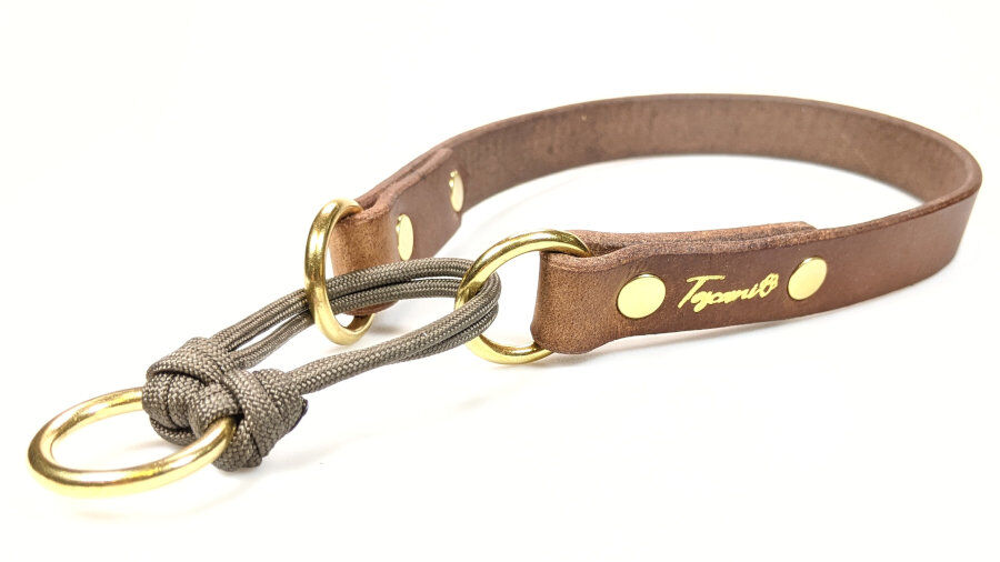 Toscani Cuoio Collare Cane Taglia Media Pelle 20mm Artigianale
