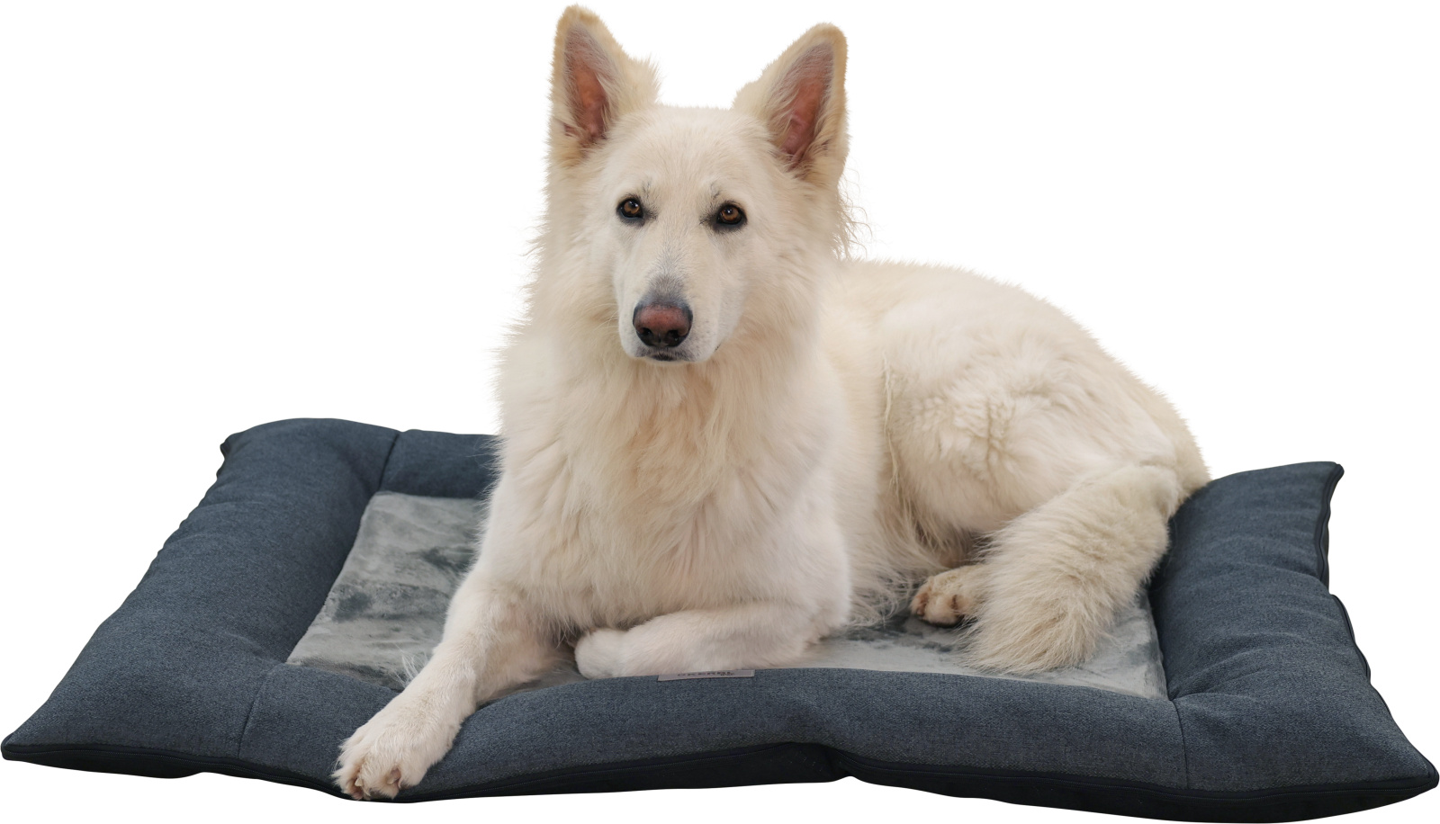 Kerbl Pet Platin Ortho cuscino ortopedico cane memory