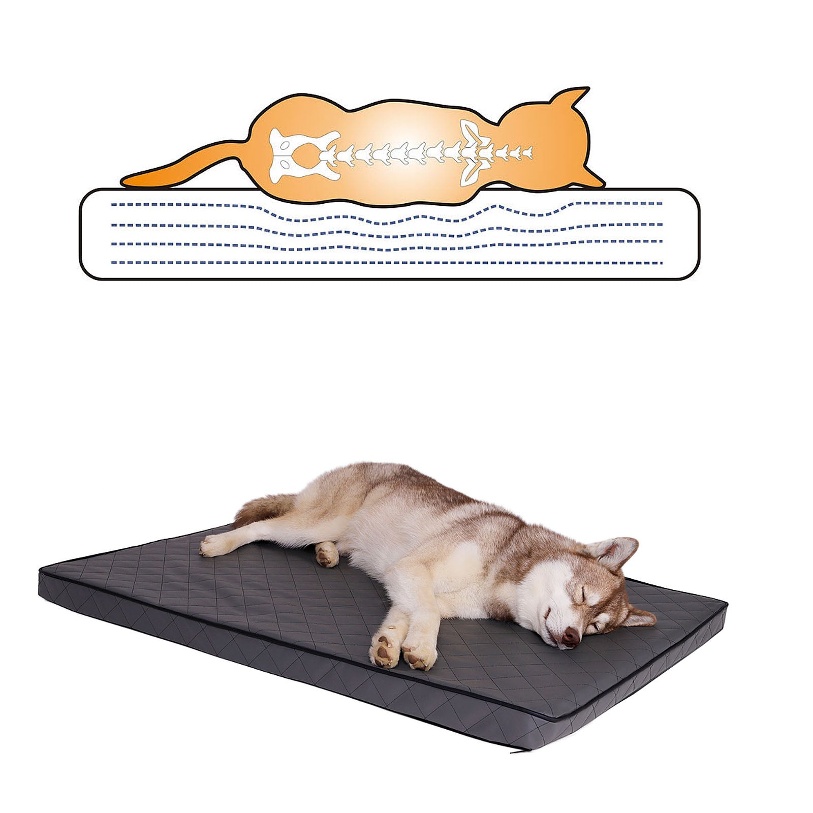 Lionto Hundematte 80x55 cm materassino ortopedico cani memory