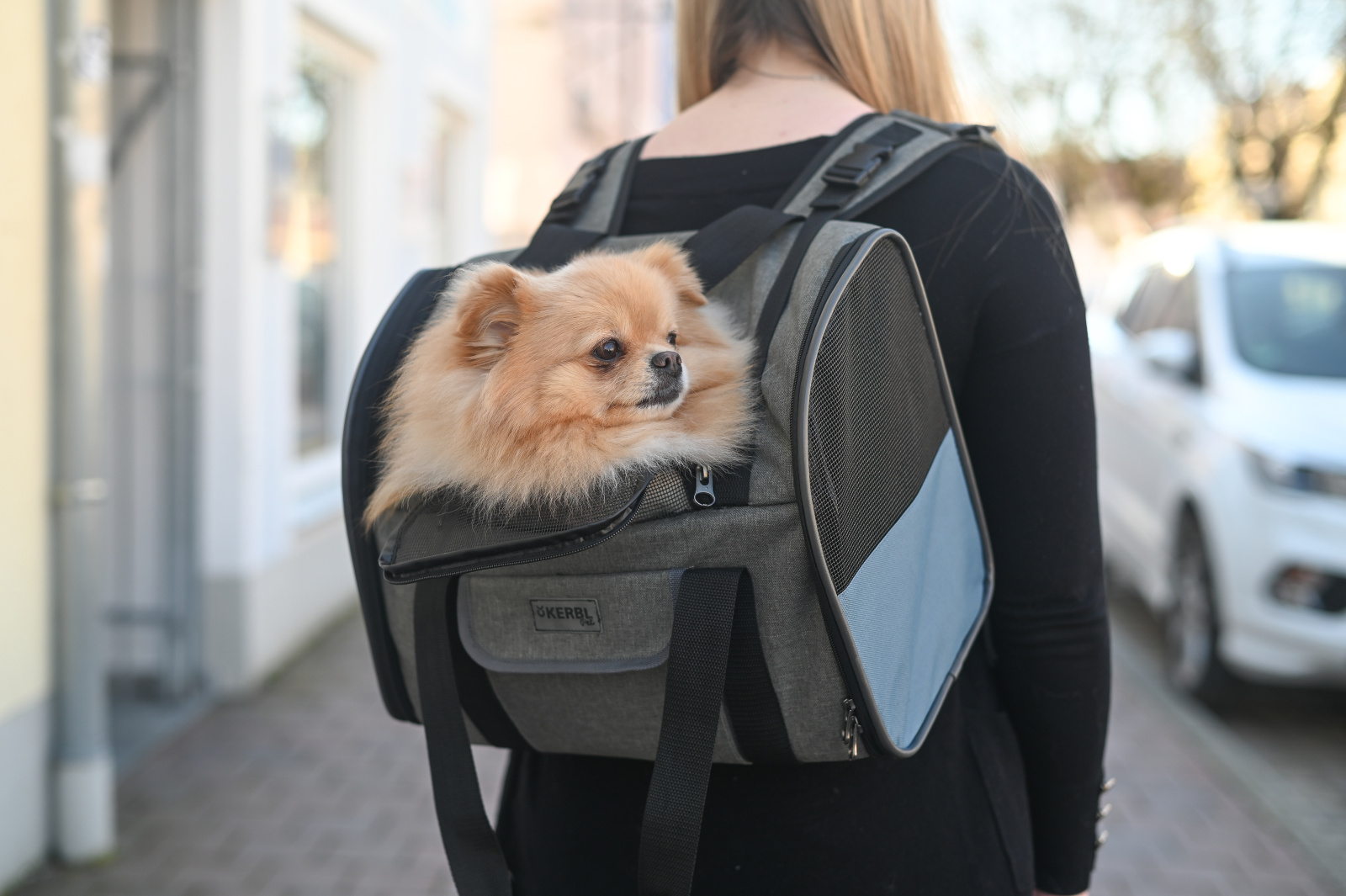 Kerbl Vacation Zaino Trasporto Cane Gatto Oxford