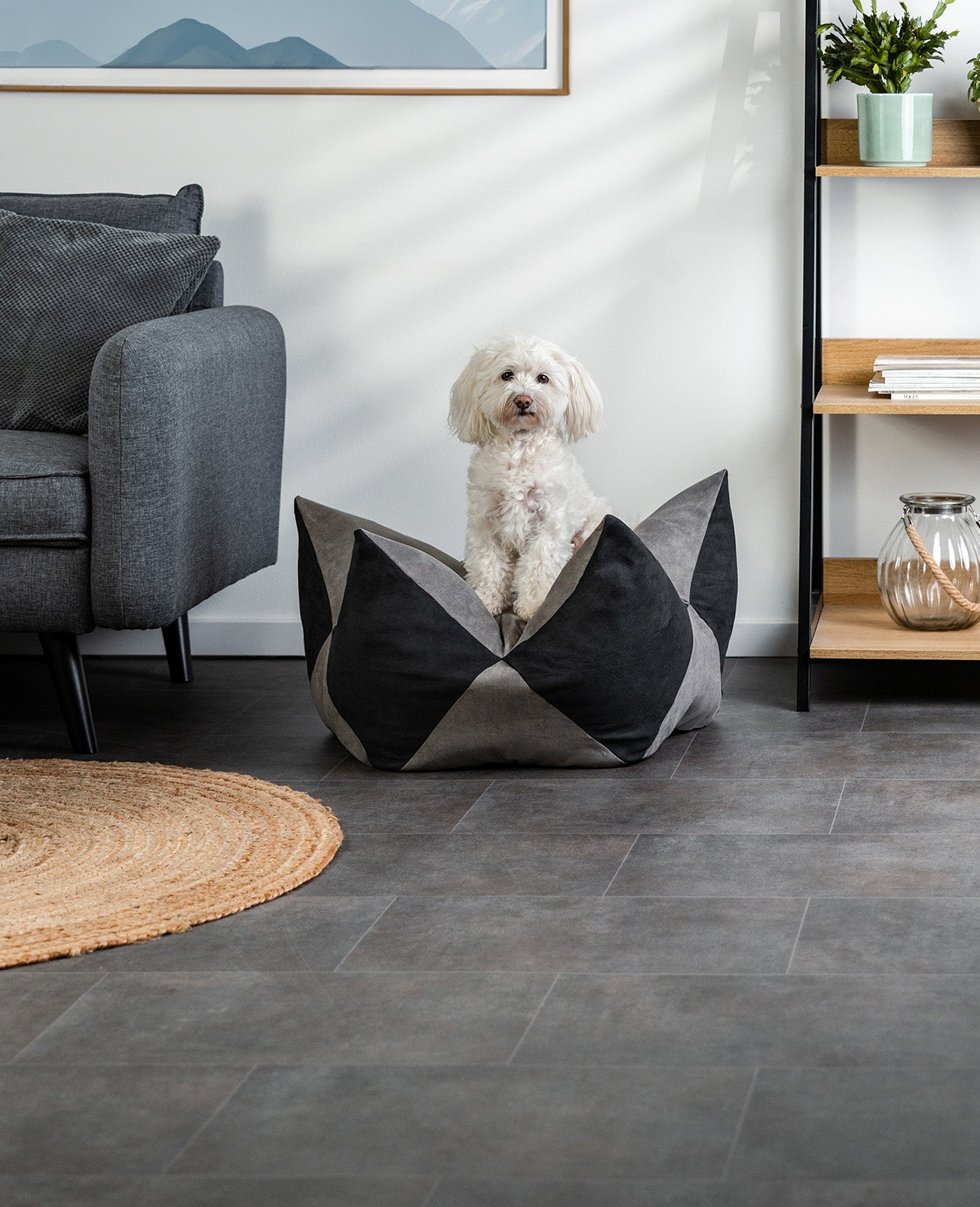 Lionto Hundebetten cuccia corona 60x35 cm grigio antiscivolo