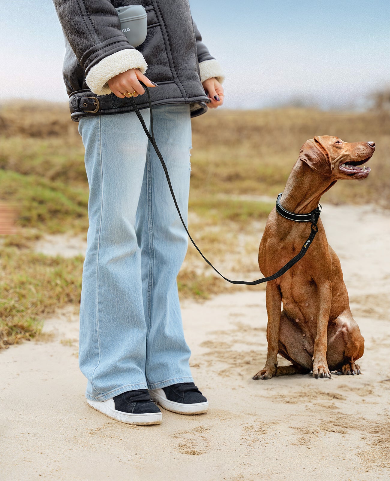 Lionto Hunde-Spaziergang guinzaglio gommato riflettente 1,70 m