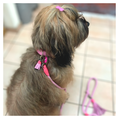 Dog with a Mission Sweety Collare L Pelle Rosa Cuori 40-47 cm