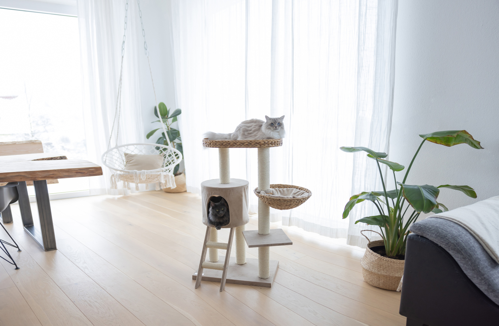 Kerbl Cat Scratch Banana Leaf Waxy tiragraffi gatto