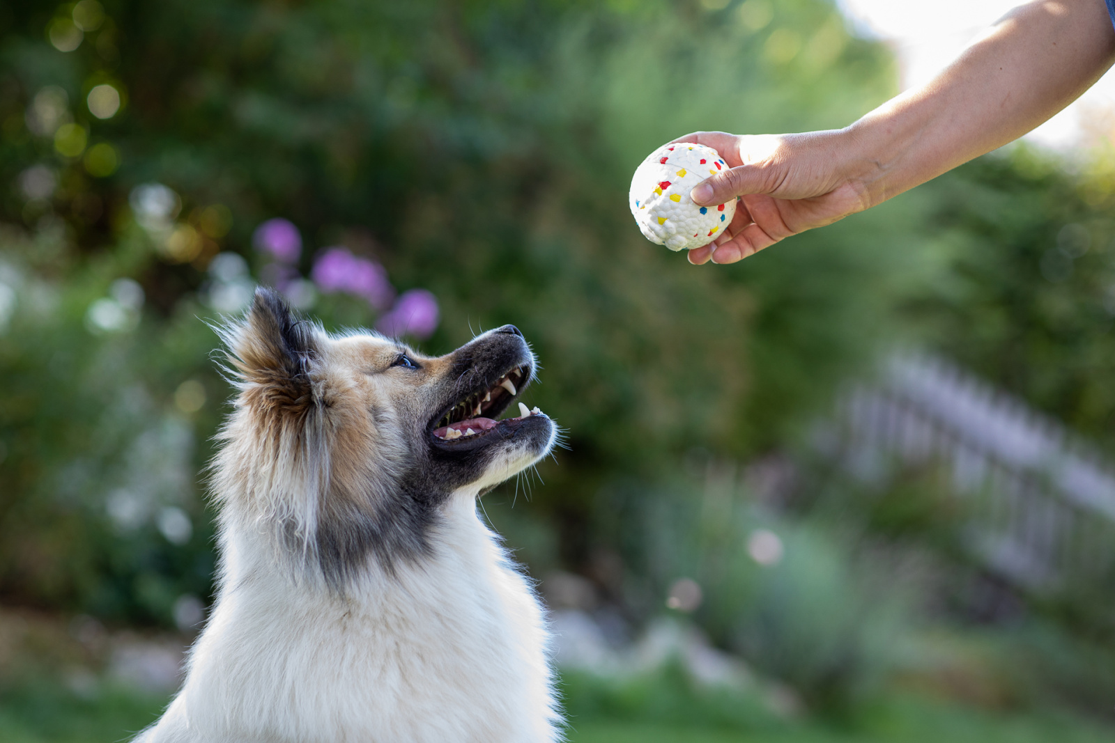 Kerbl E-TPU palla gioco cane rimbalzante galleggiante