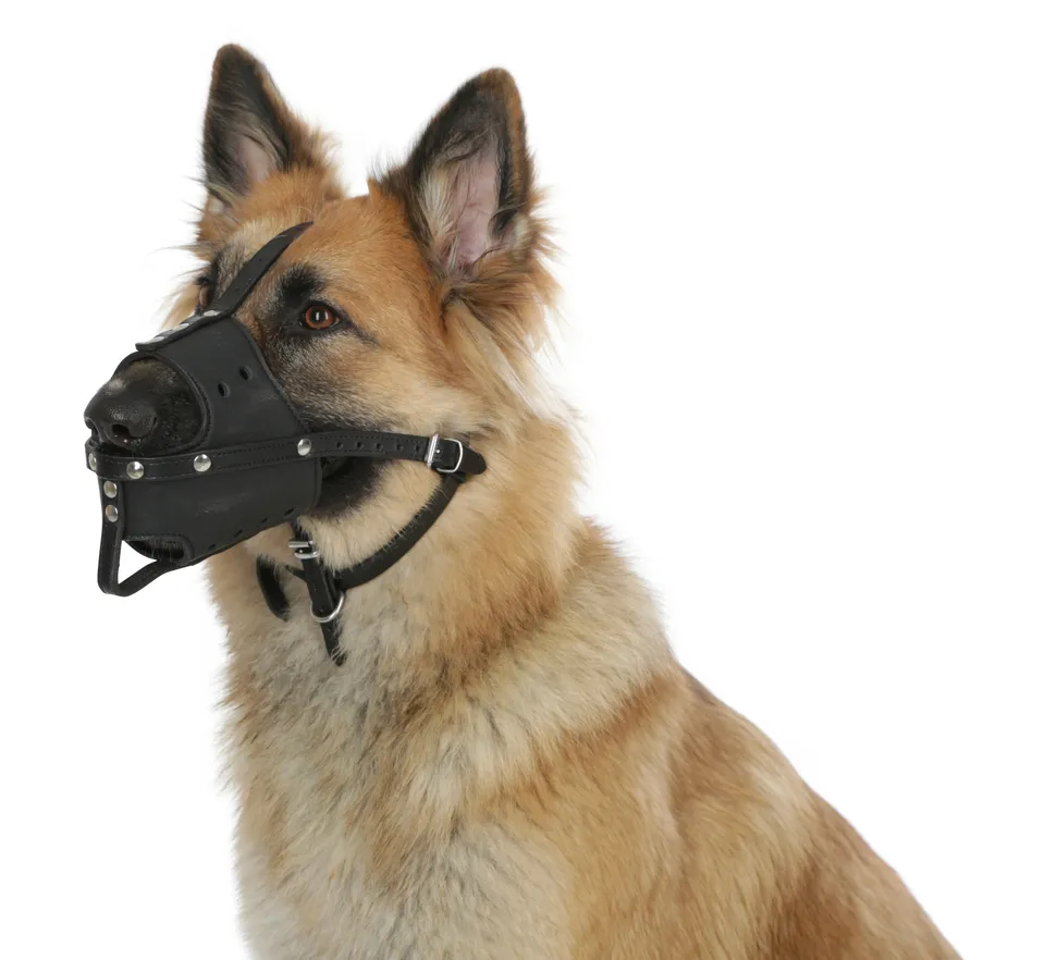 Kerbl Pet Muzzle Leather museruola cane in cuoio