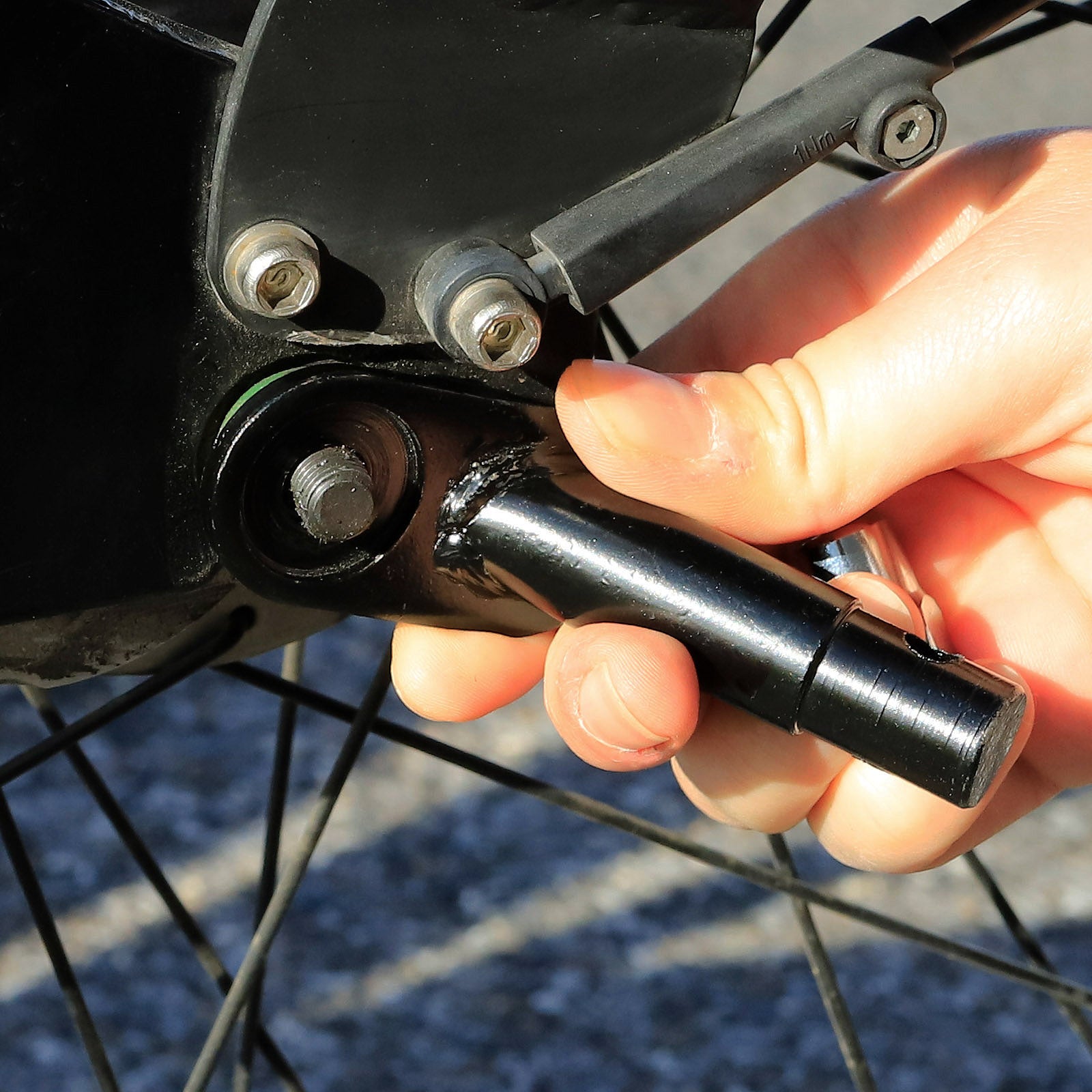 Lionto Hunde-Spaziergang attacco rimorchio bici cane acciaio nero