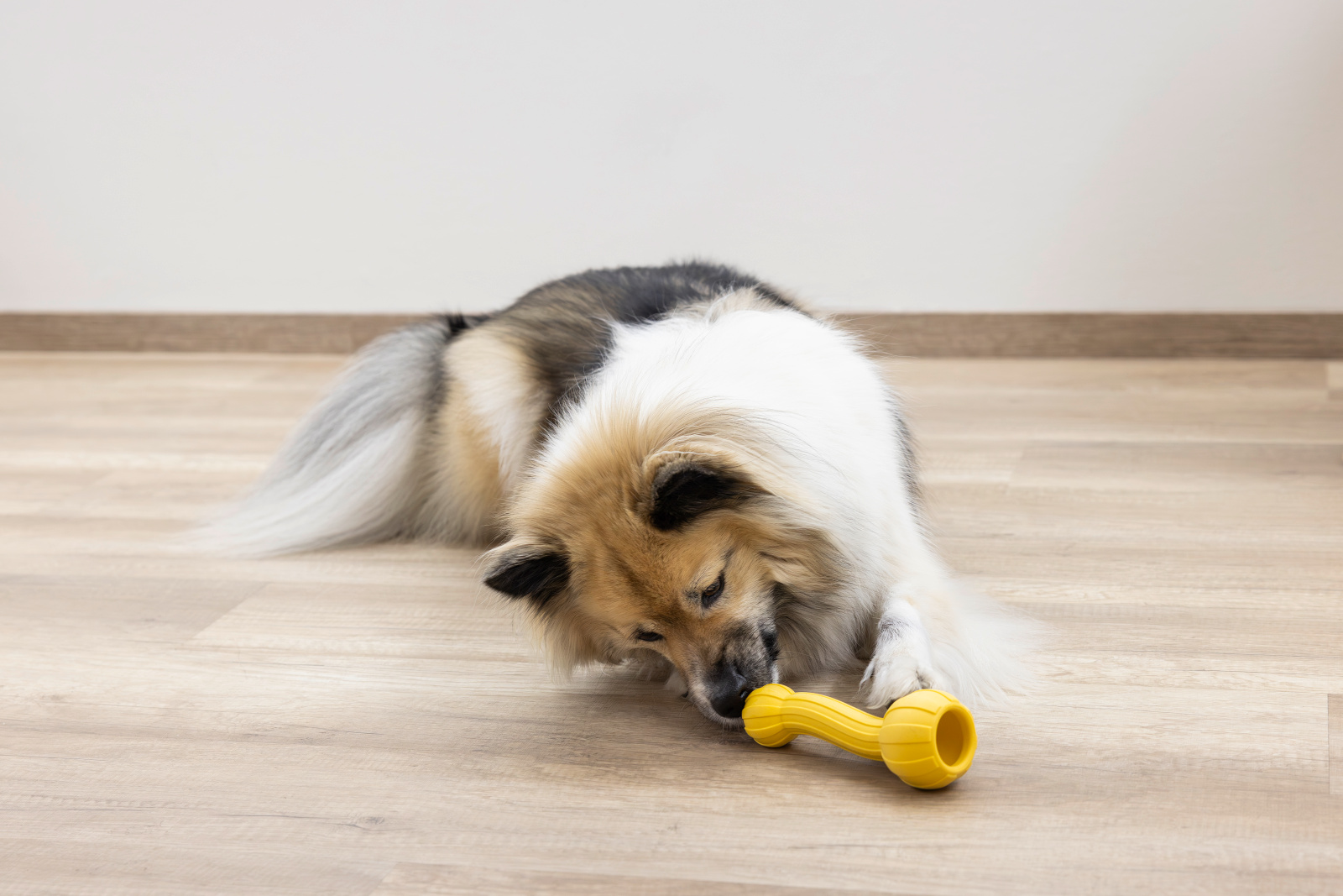Kerbl Pet Aqua gioco cane galleggiante TPR giallo acqua