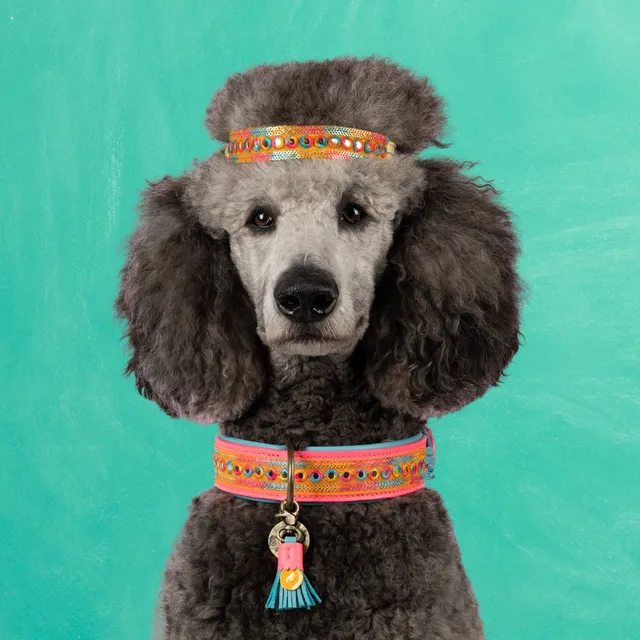 Dog with a Mission Indian Summer L collare cane rosa 40-47 cm