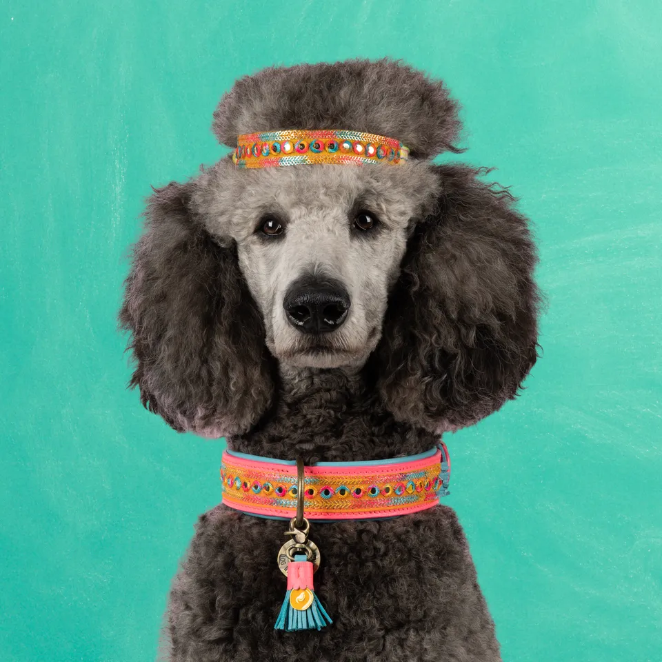 Dog with a Mission Indian Summer L collare cane rosa 40-47 cm
