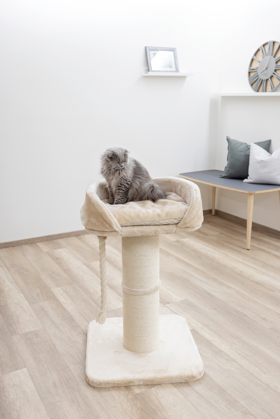 Kerbl Pet Toni XL Cat Tree tiragraffi gatto grande colonna sisal