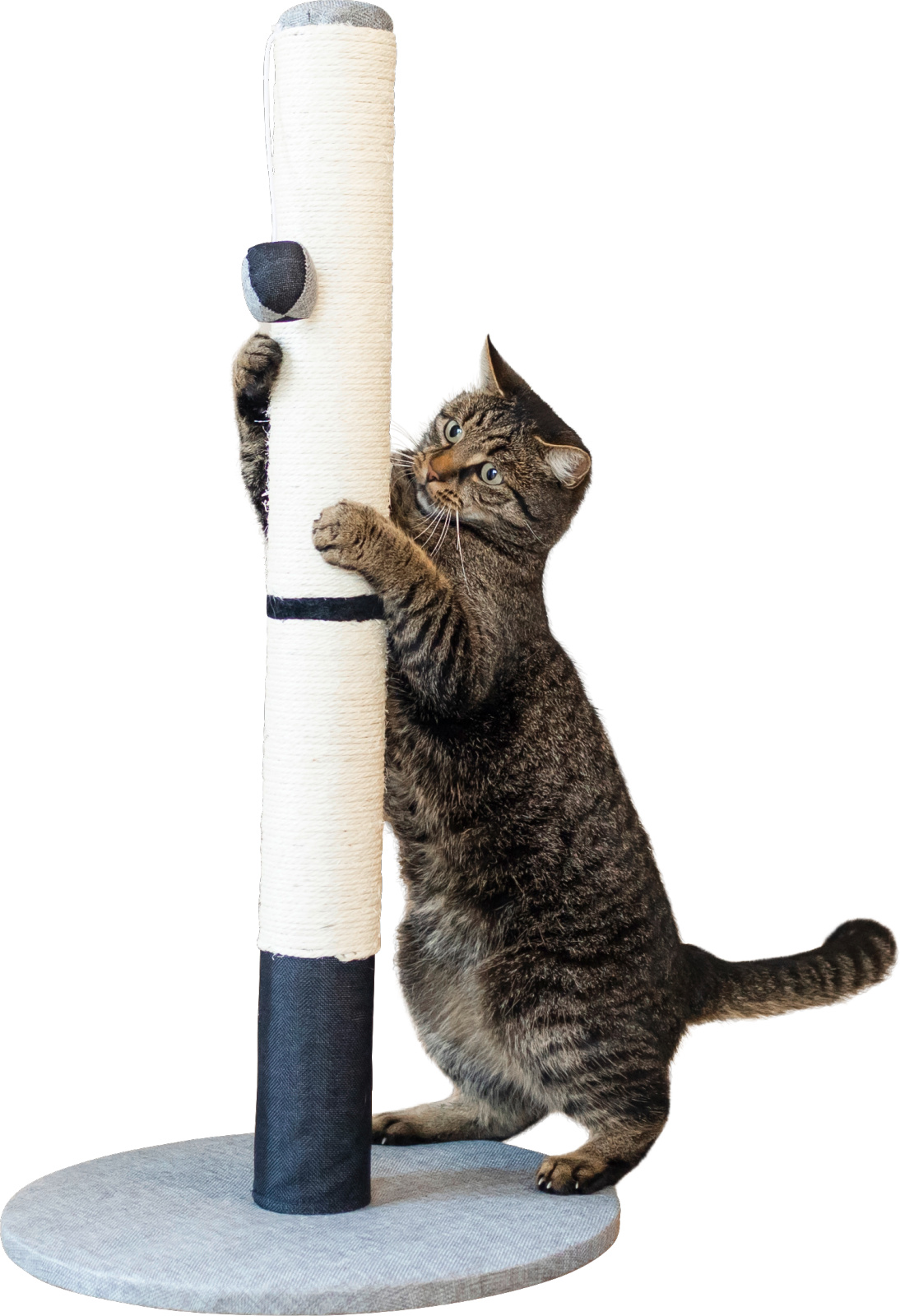 Kerbl Pet Opal Pro tiragraffi gatto sisal 80 cm con pallina