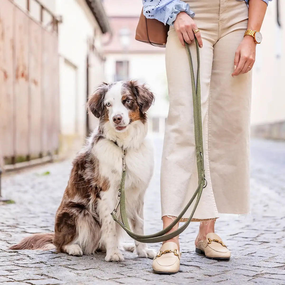 Rudelkönig Bella Guinzaglio Cane Khaki 20mm Neoprene