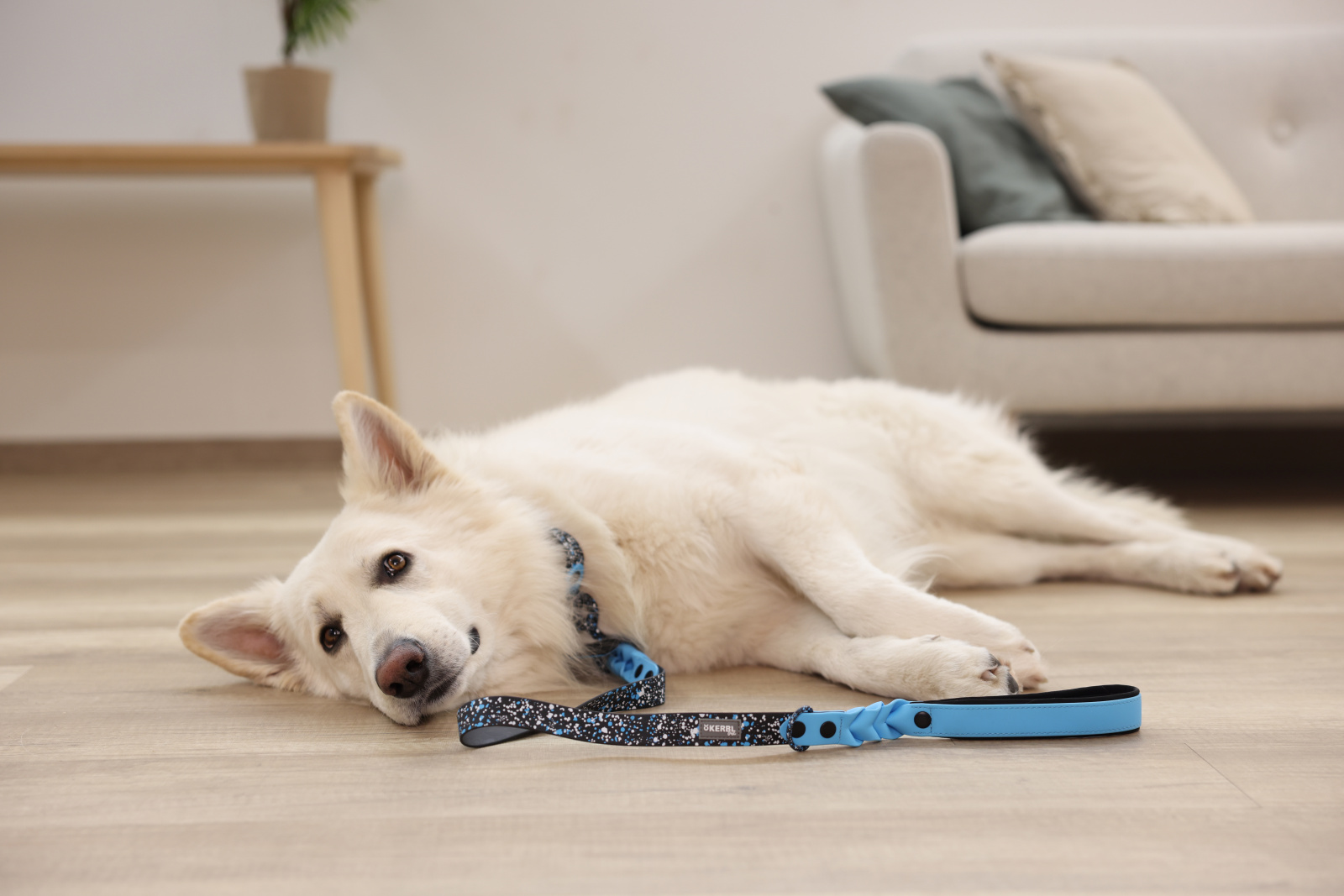 Kerbl Leash Lima guinzaglio cane impermeabile splash