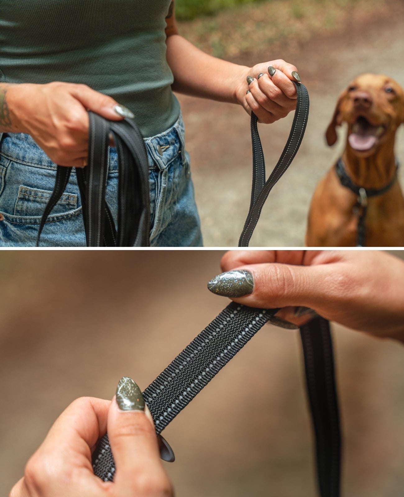 Lionto Hunde-Spaziergang lunghina gommata cani 5 m riflettente