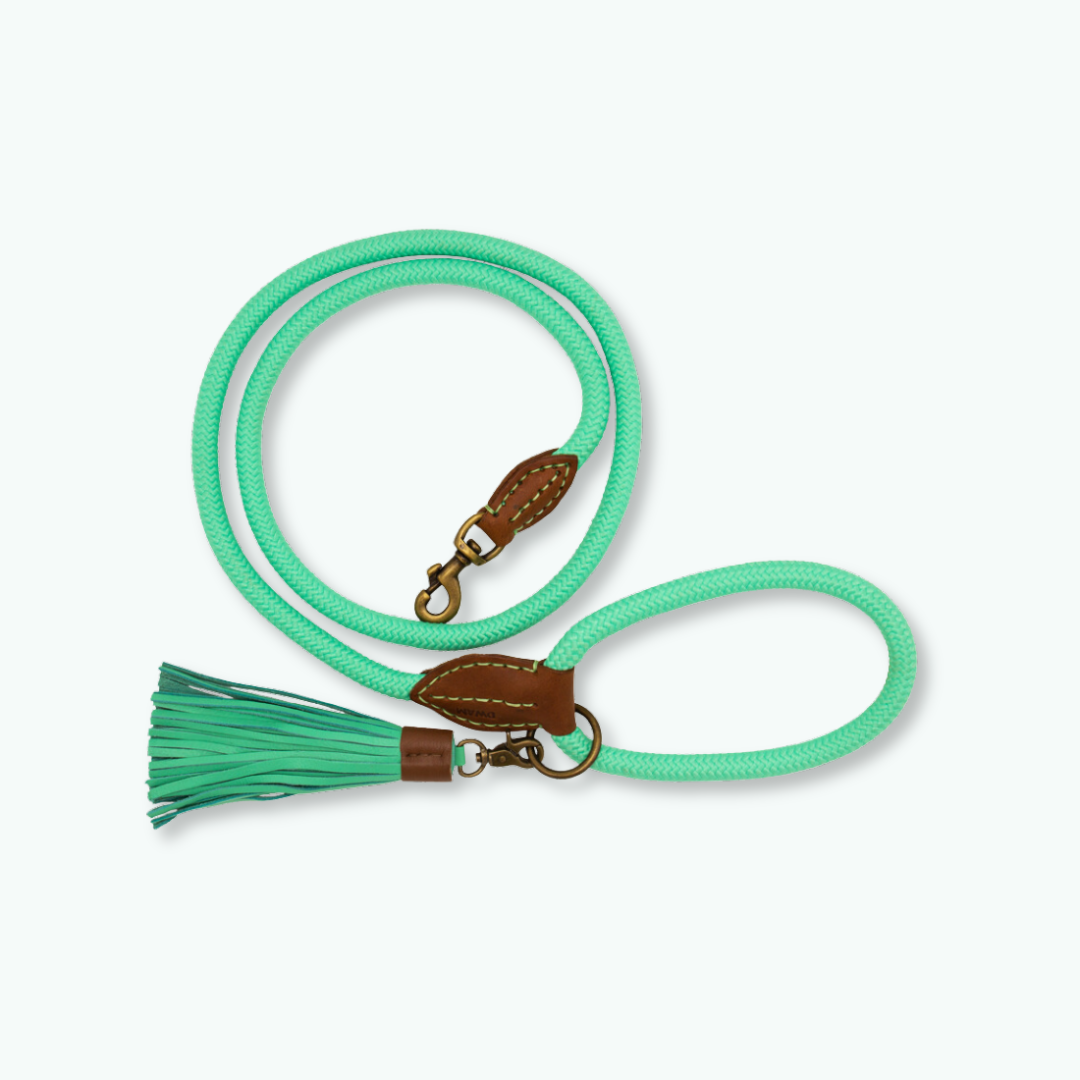 Dog with a Mission Jade Charm ciondolo pelle turchese