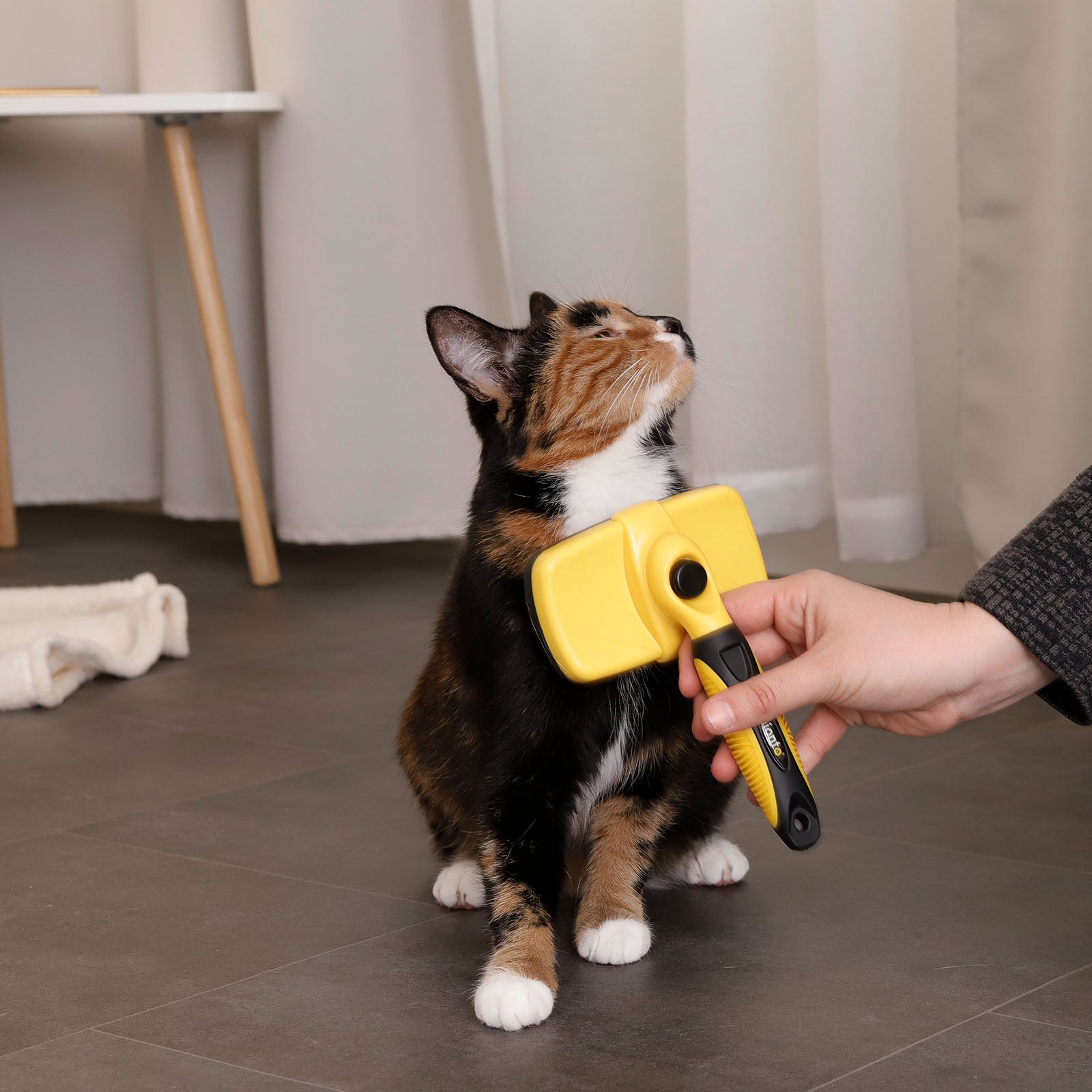 Lionto Katzenbürsten spazzola autopulente pelo lungo nero-giallo