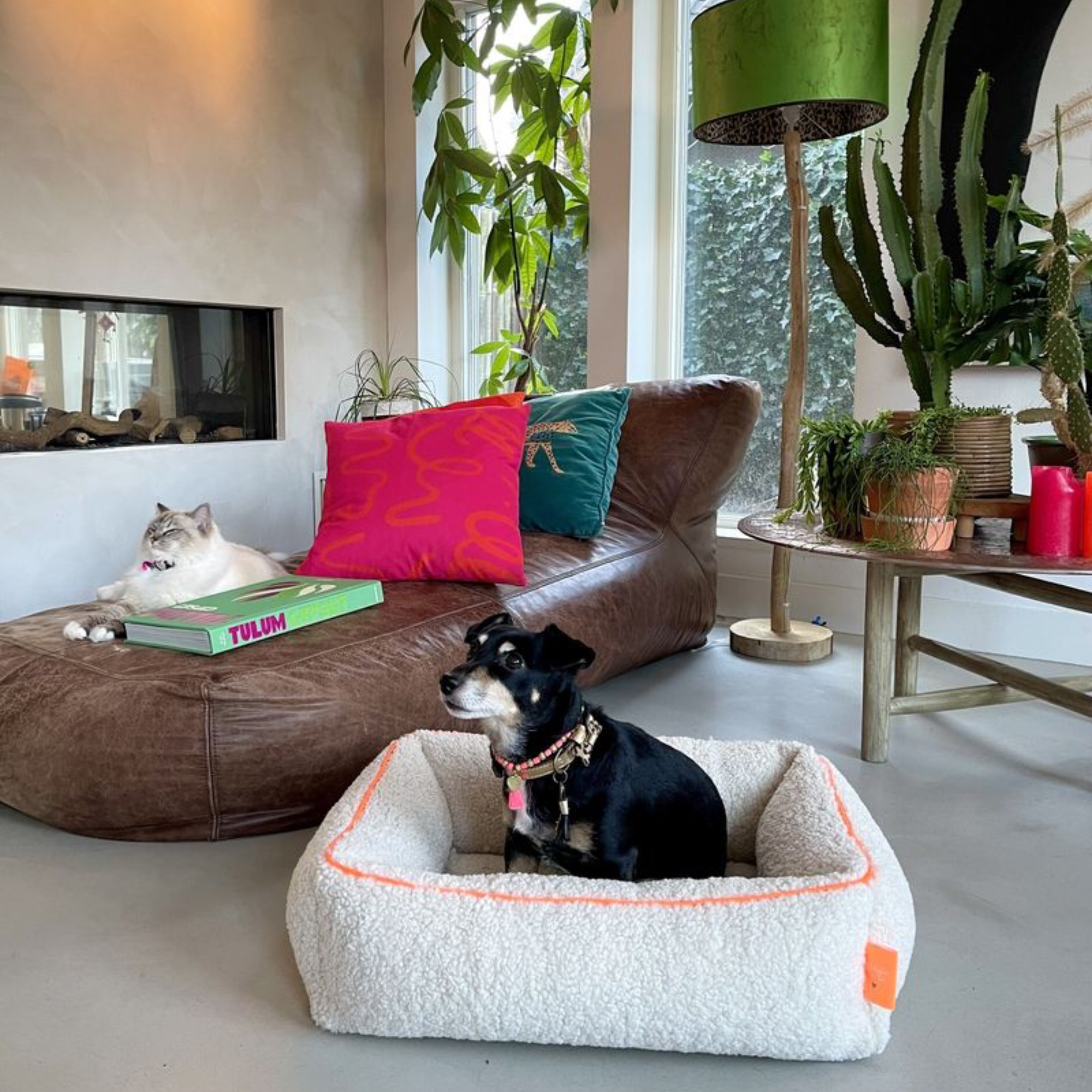 Dog with a Mission Ibiza Dream cuccia cane teddy S 55x70 cm