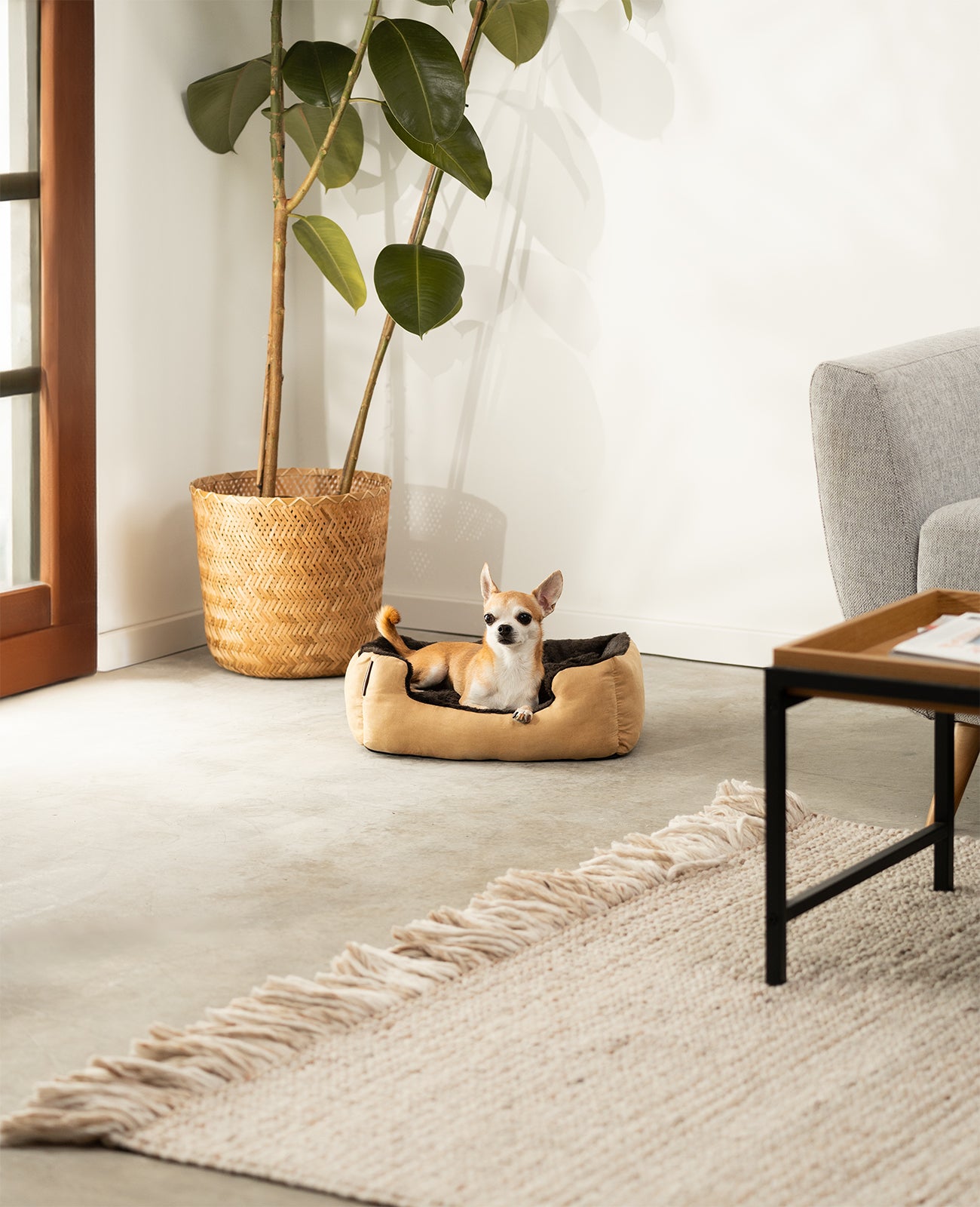 Lionto Hundebetten Hundebett Cuccia Cane Beige 75x60x19 cm