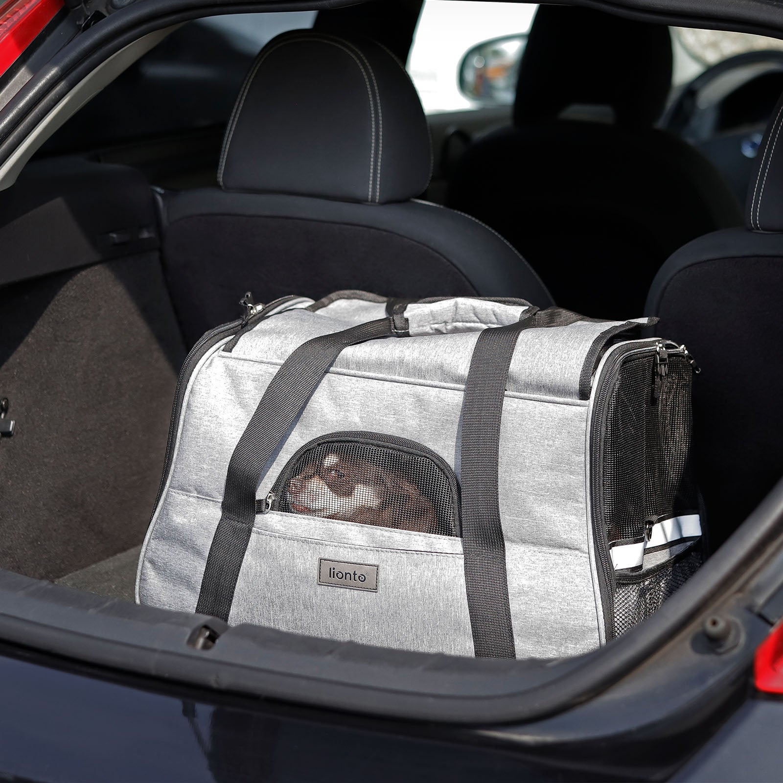 Lionto Hundetransportboxen trasportino cane nero 48,5x27 cm