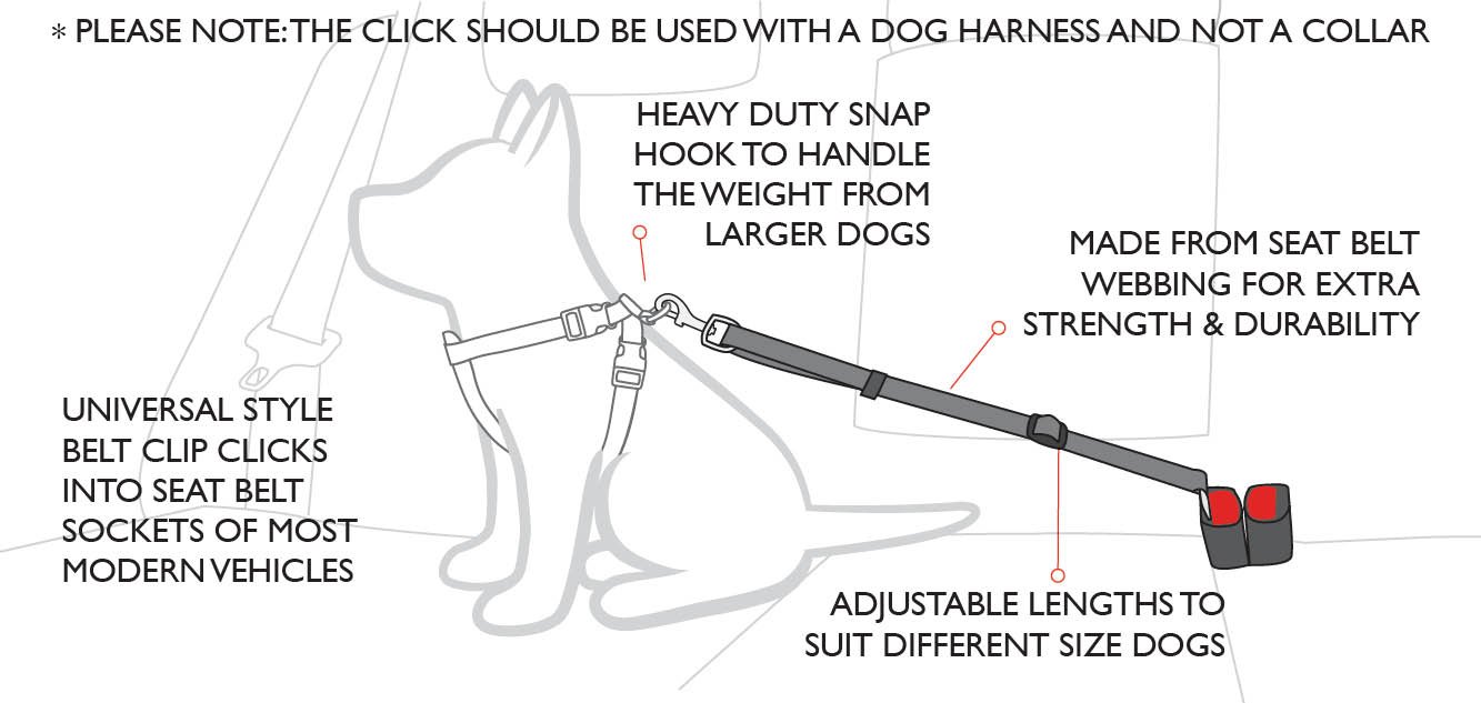 EzyDog Travel cintura sicurezza auto cane 43-65 cm nero