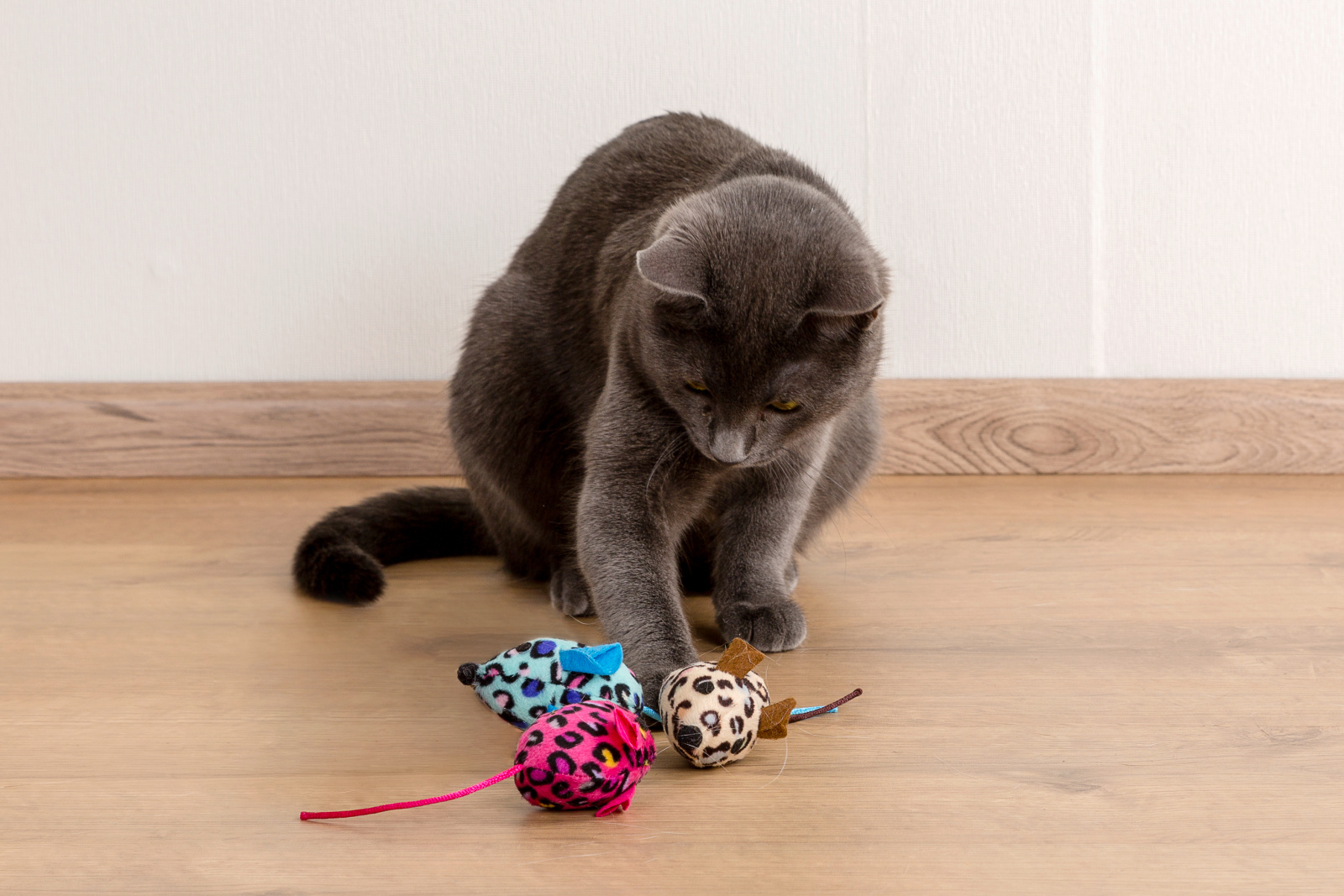 Kerbl Pet Mouse topolino gioco gatto caccia morbido