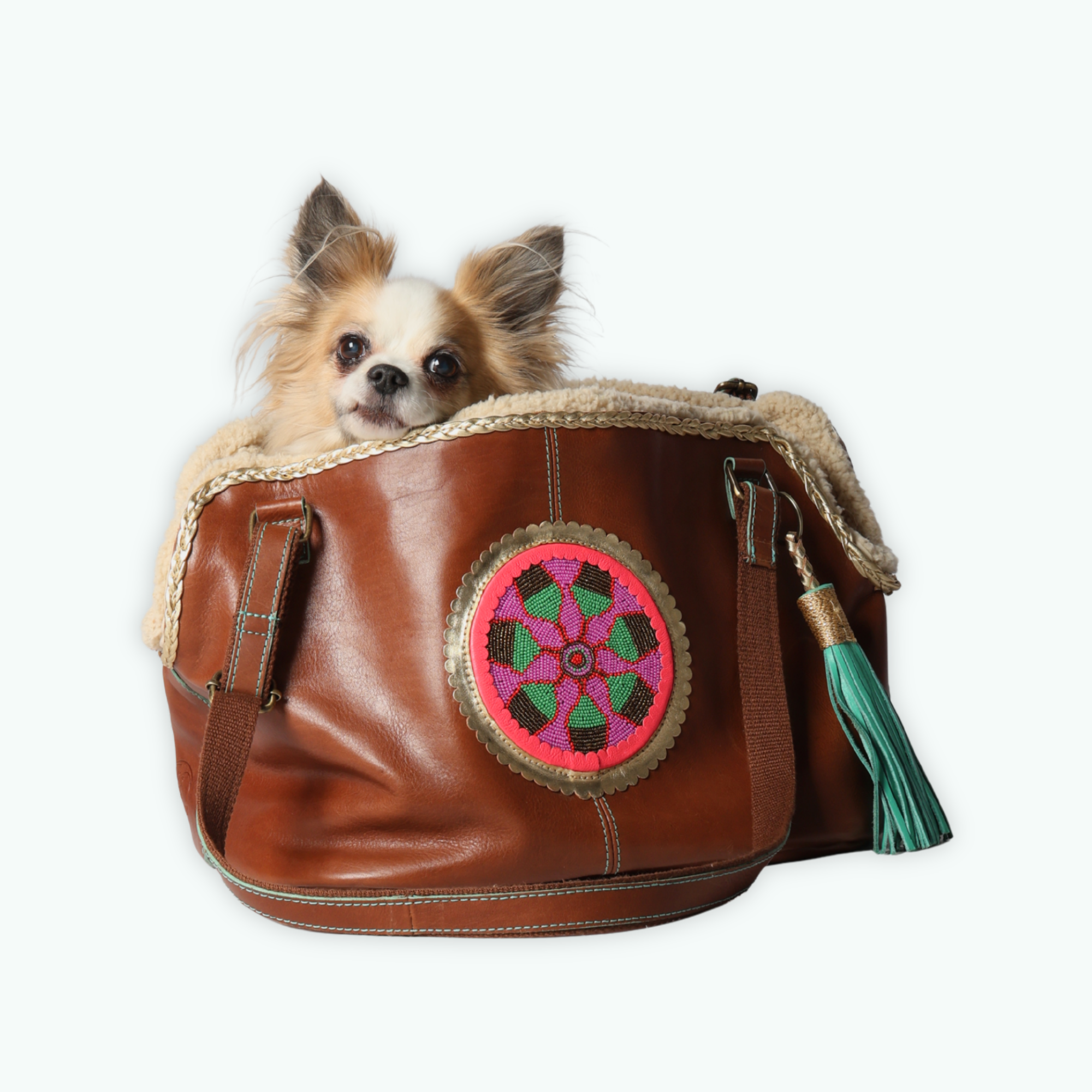 Dog with a Mission Bonita Borsa Cane Pelle 8 Kg Teddy