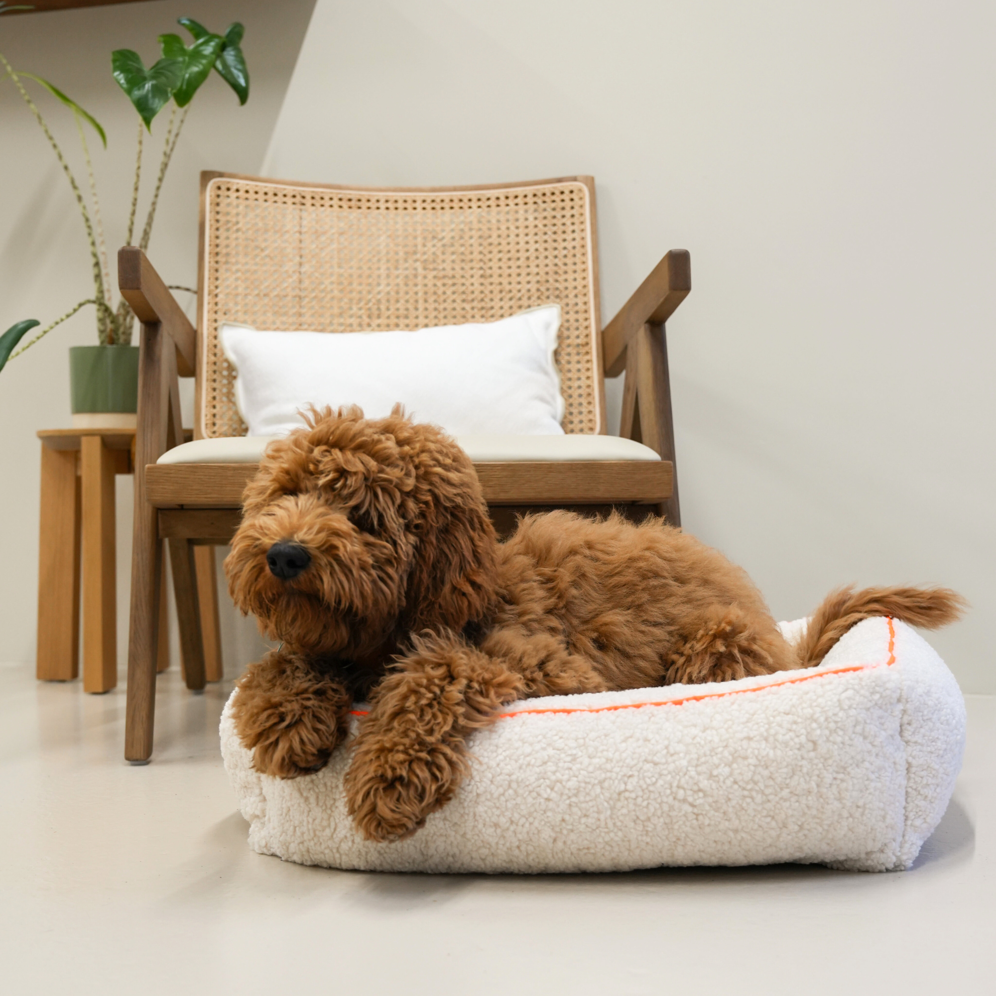 Dog with a Mission Ibiza Dream Cuccia Cane M Ecru 70x85cm