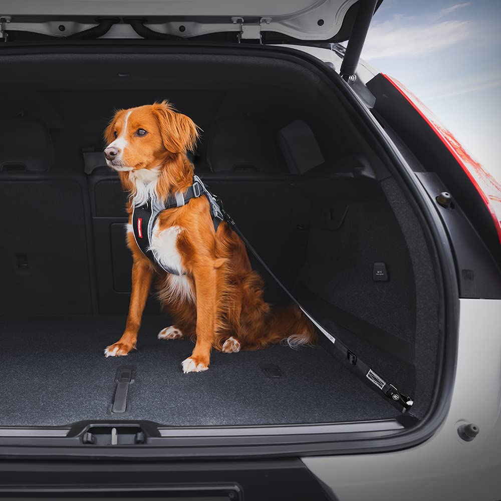EzyDog Travel Accessories Click cintura auto cane nero 43-65 cm